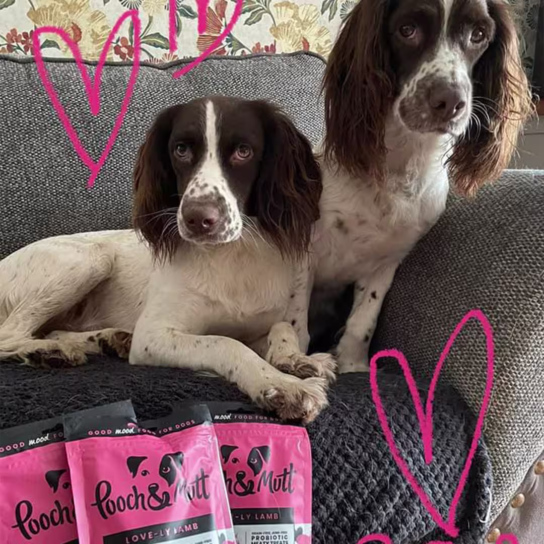 6 reasons to love our Love-ly Lamb Meaty Treats-Image 14