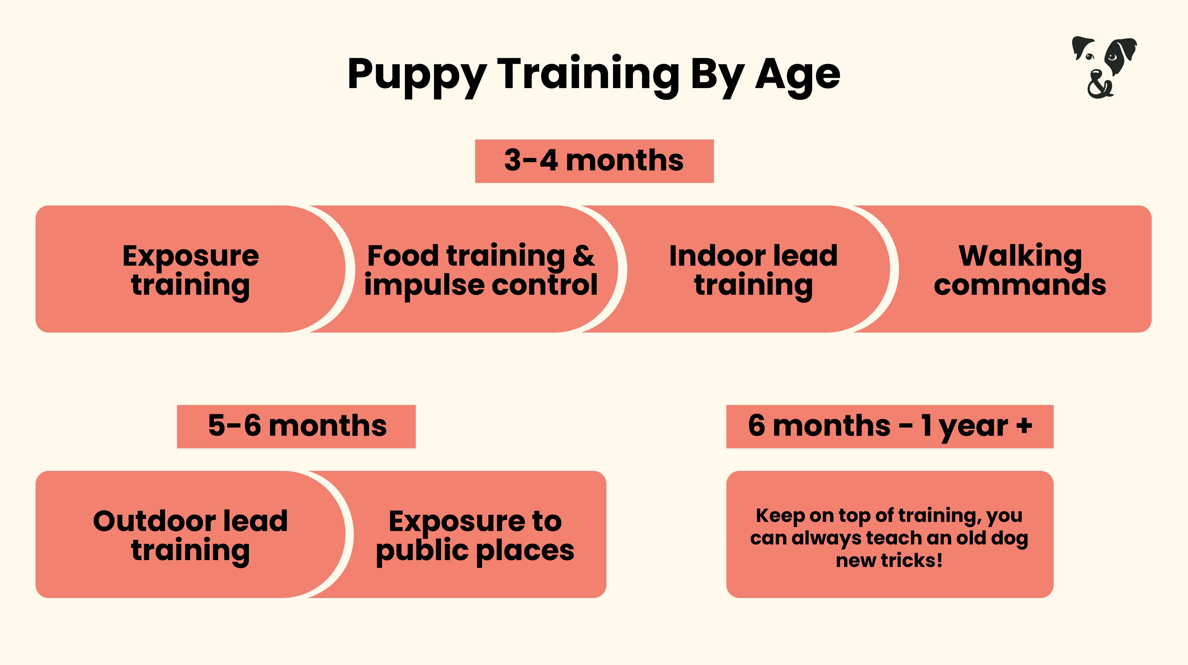 Puppy training schedule: By age-Image 3