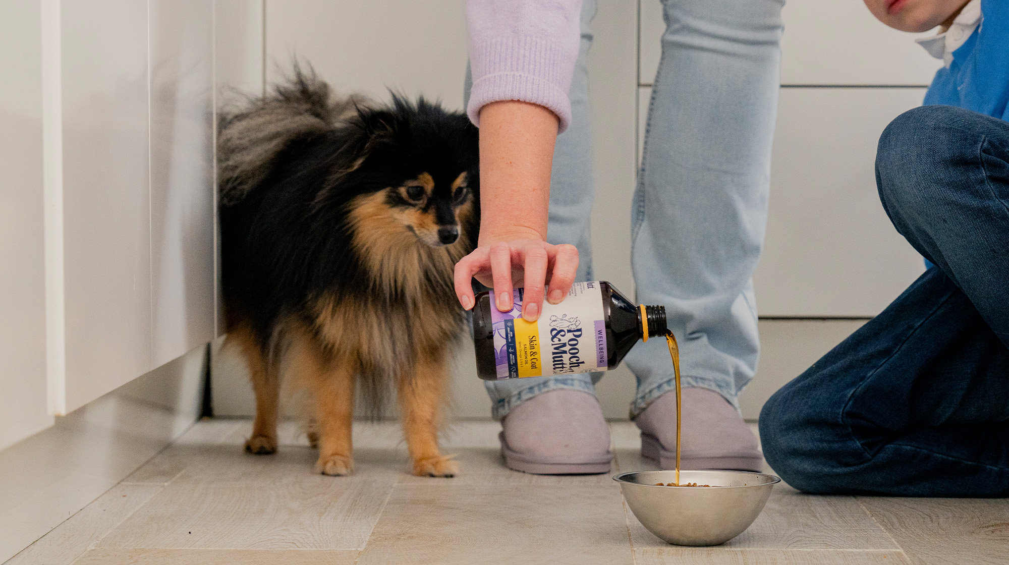 A Pomeranian watching their owner pour Pooch & Mutt's Salmon Oil over their food.