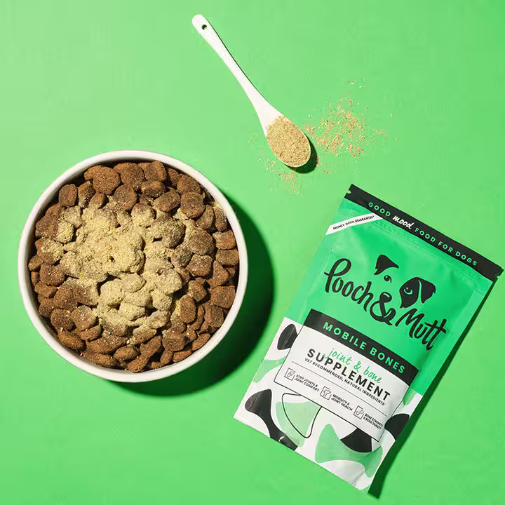 mobile bones for dogs