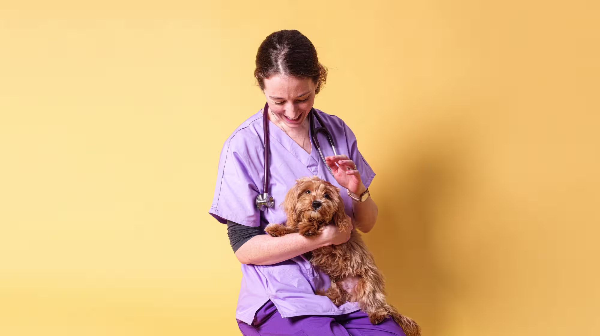 vet linda holding a dog