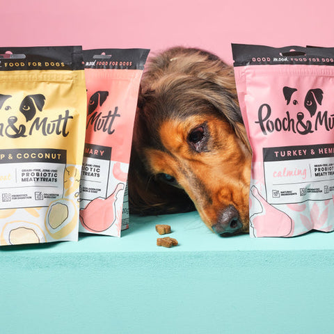 Probiotic meaty treats taster pack for dogs