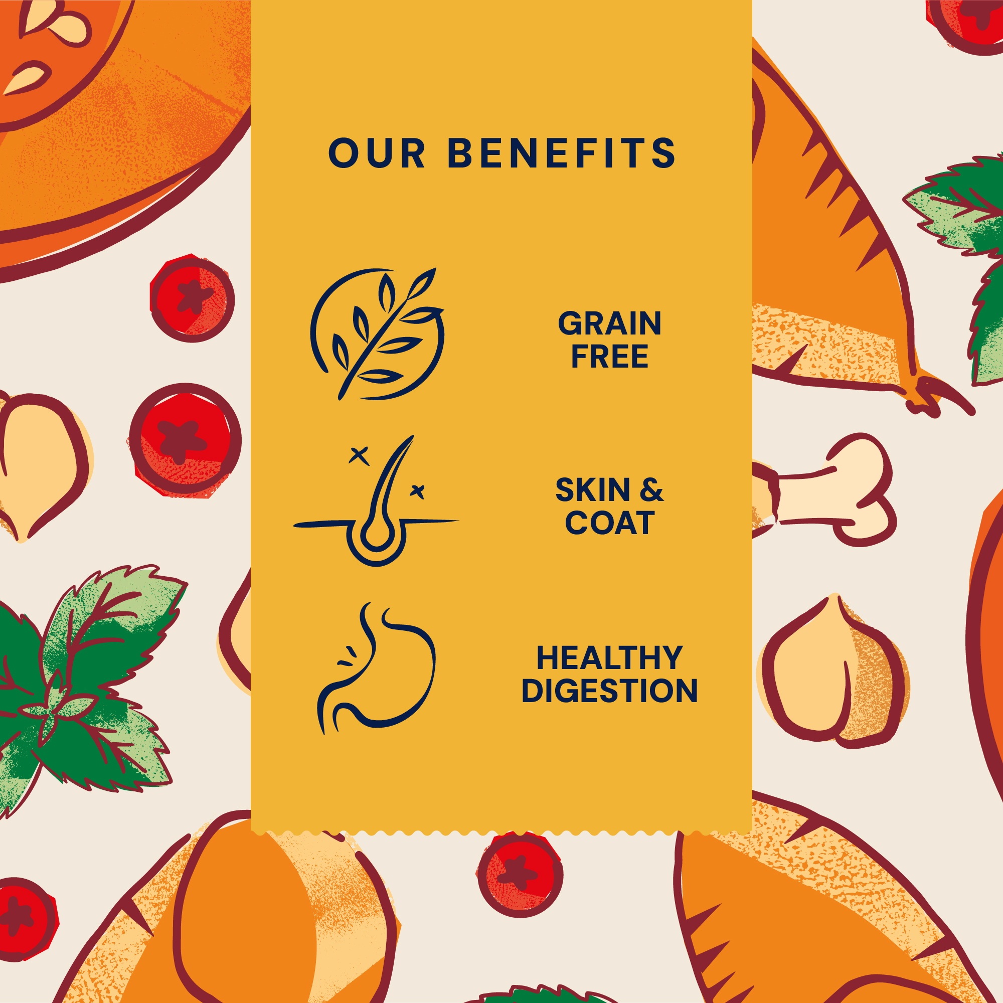 P&M BENEFIT CARD WET FOOD SUPERFOODS ADULT