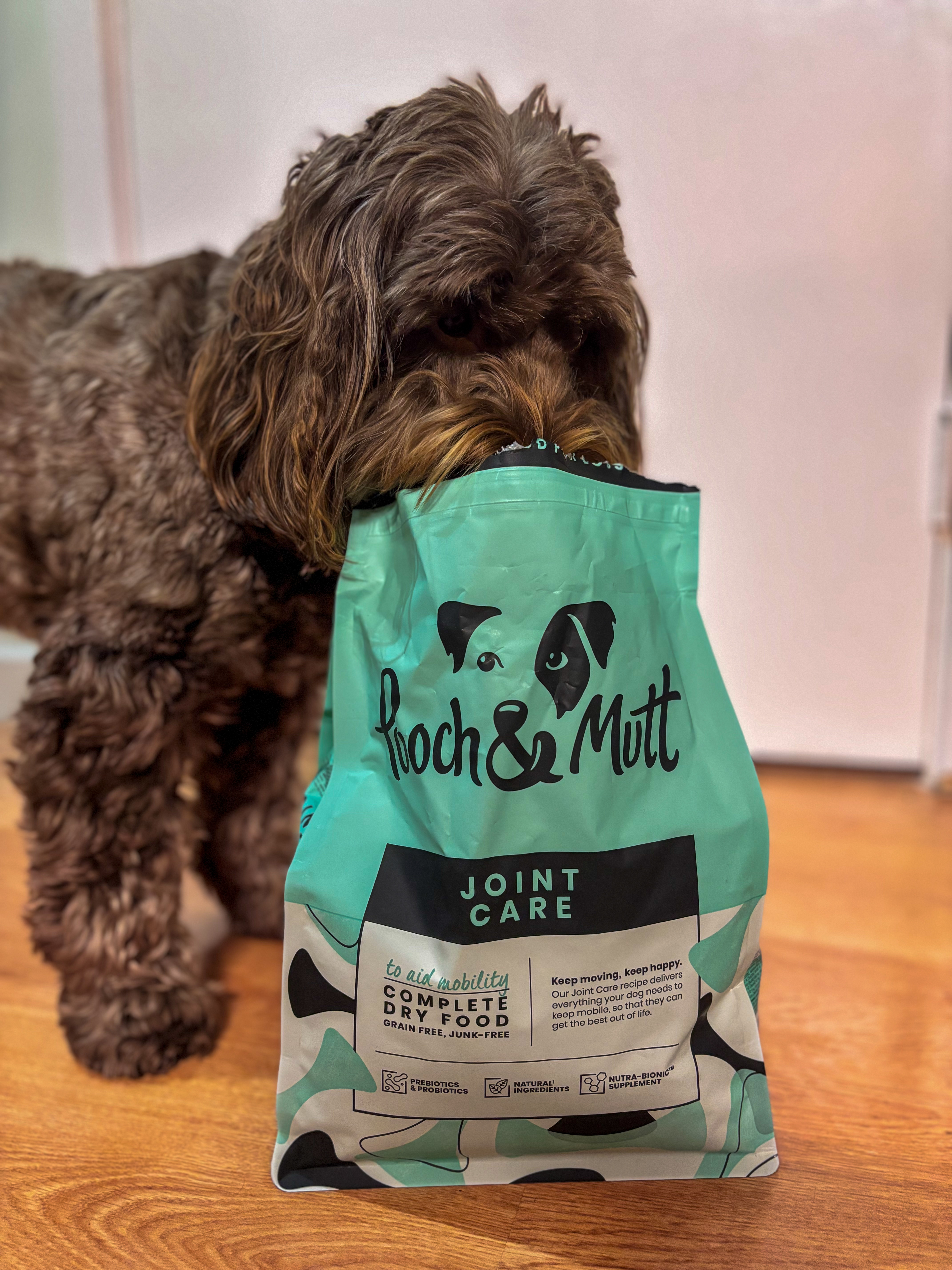 IMG 5166 - Lilo & Nala