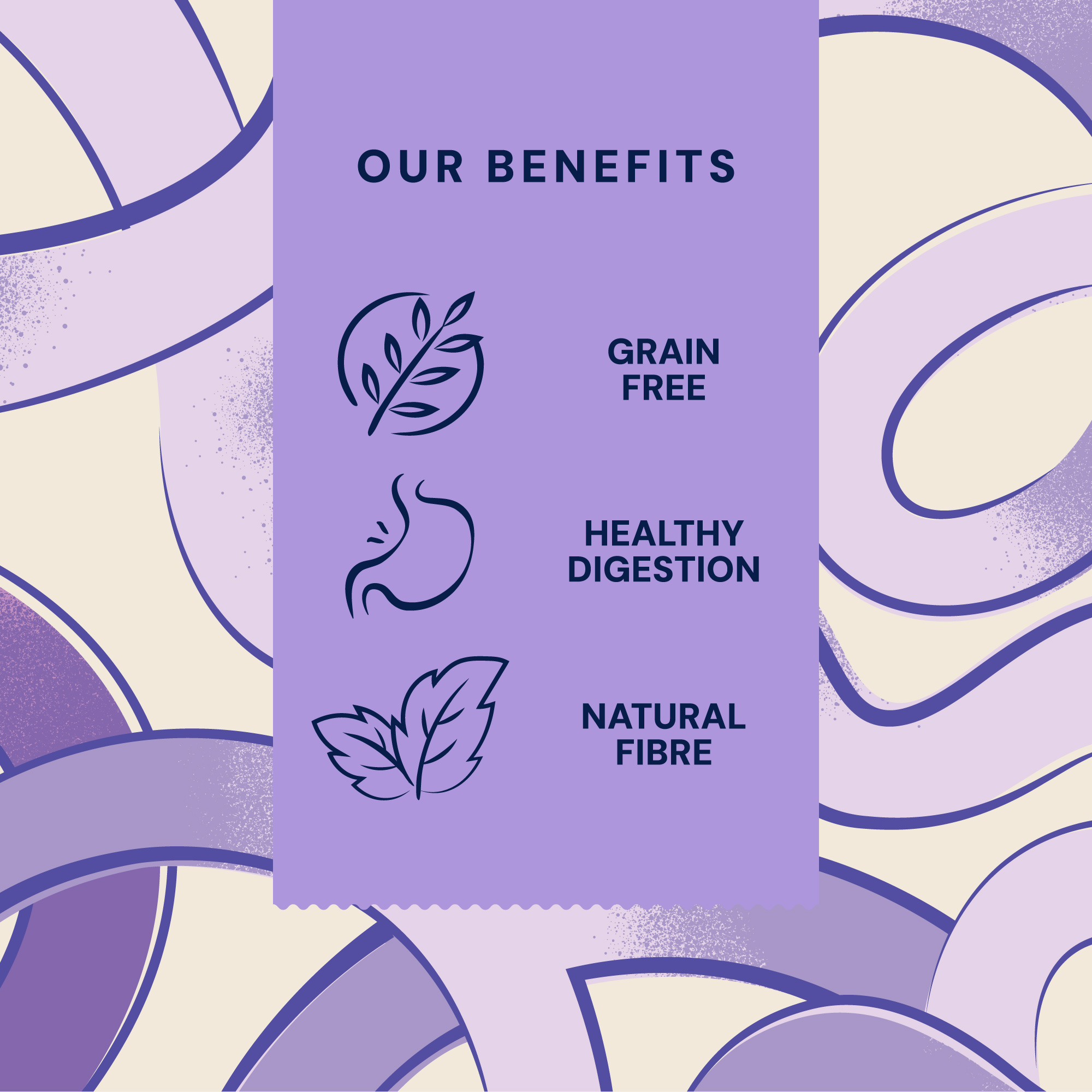 P&M BENEFIT-CARD WET-FOOD WELLBEING HEALTH-&-DIGESTION