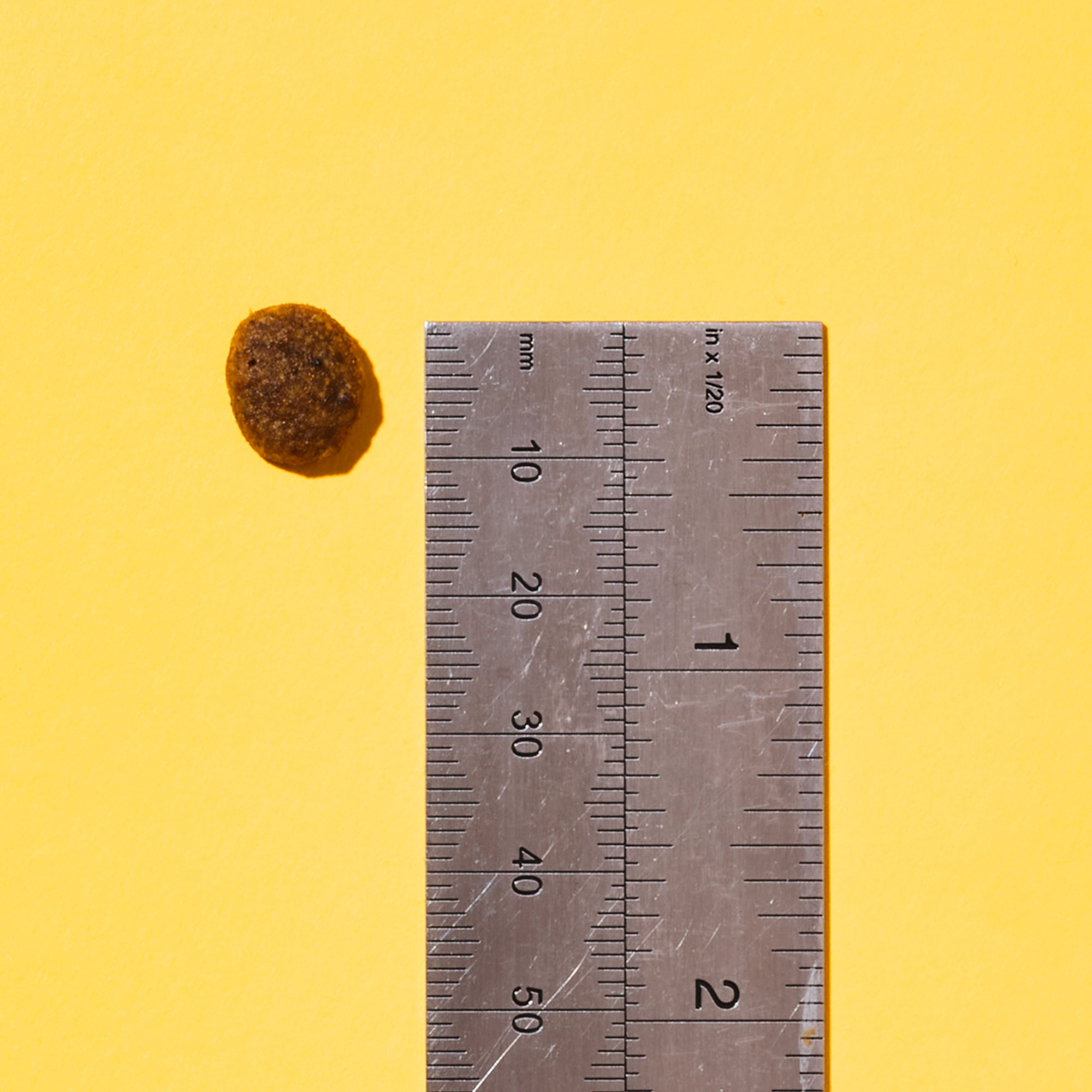 PurrandMiaowdryfoodforcats