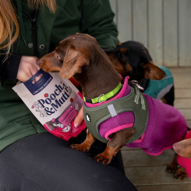 Pooch & Mutt Lovestruck Lamb Probiotic Meaty Treats