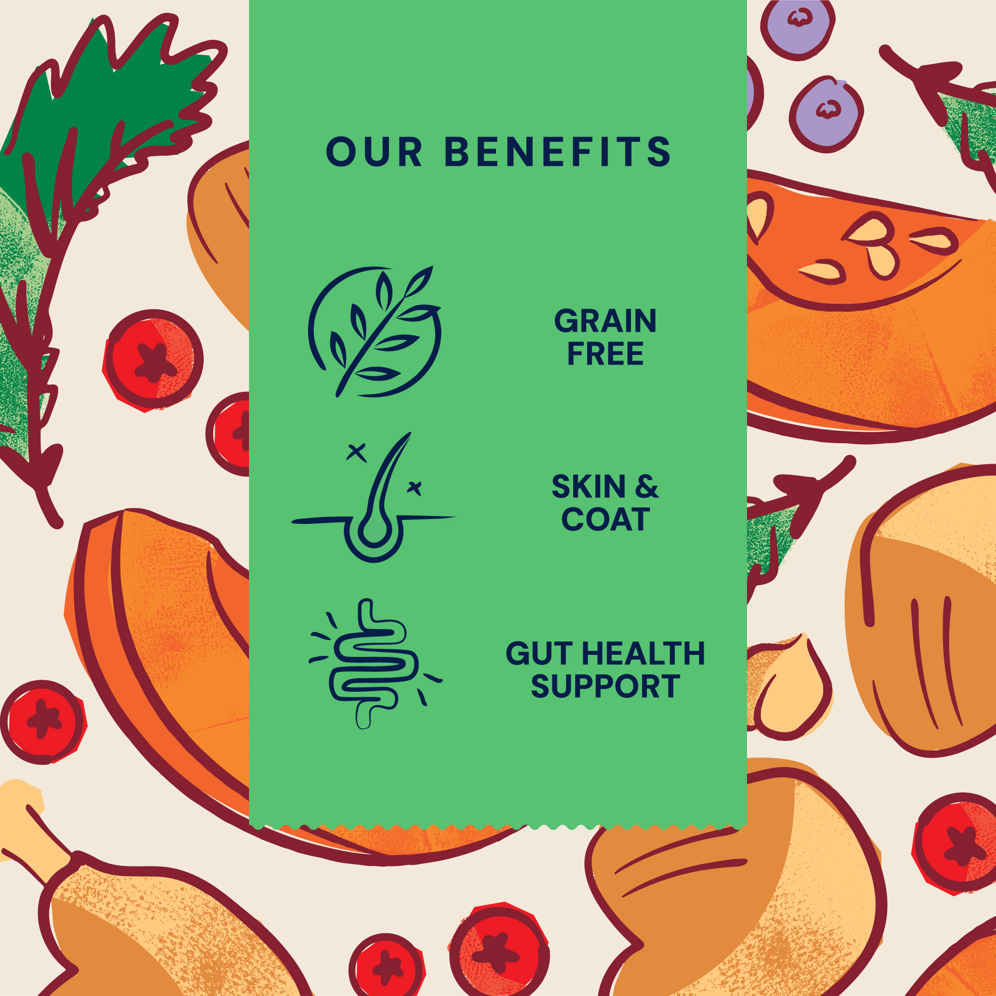 Single Protein Fresh Chicken Dry Food Benefits