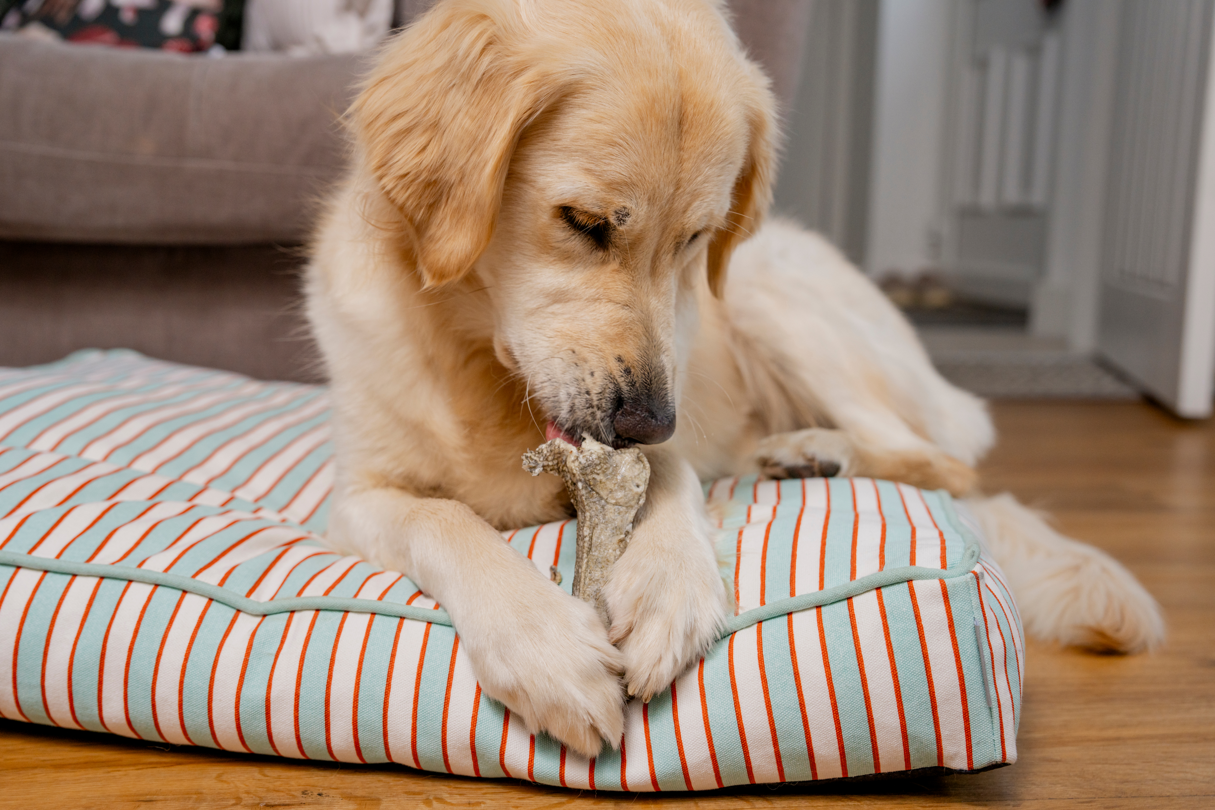 52bbb8eaeb79d029c84a1cd4183d515c61a05ff9