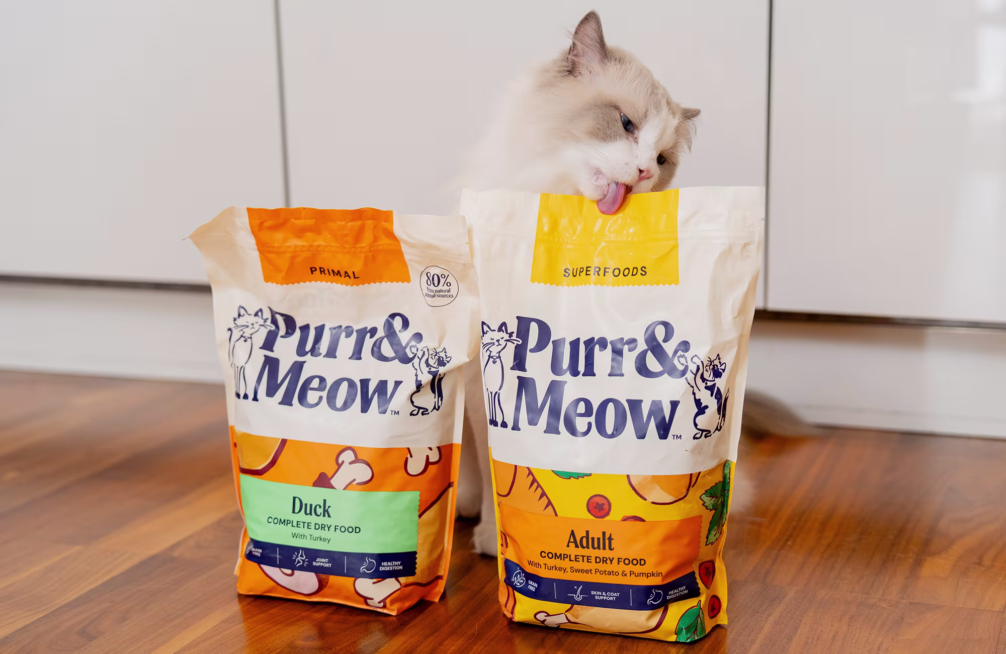 P&M WEB CAT COLLECTION BANNER DRY FOOD