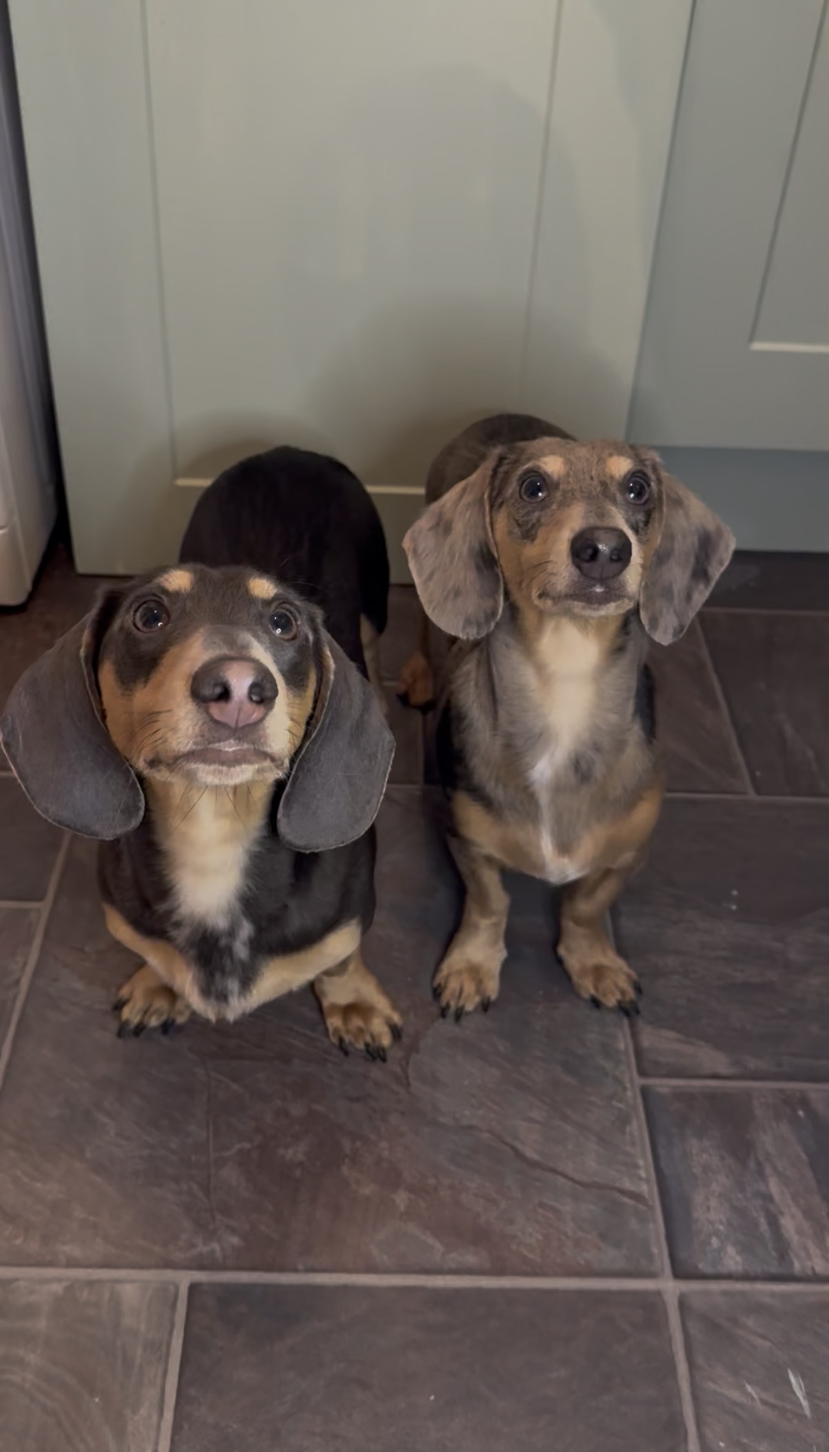 IMG 3742 - Sarah Cilia