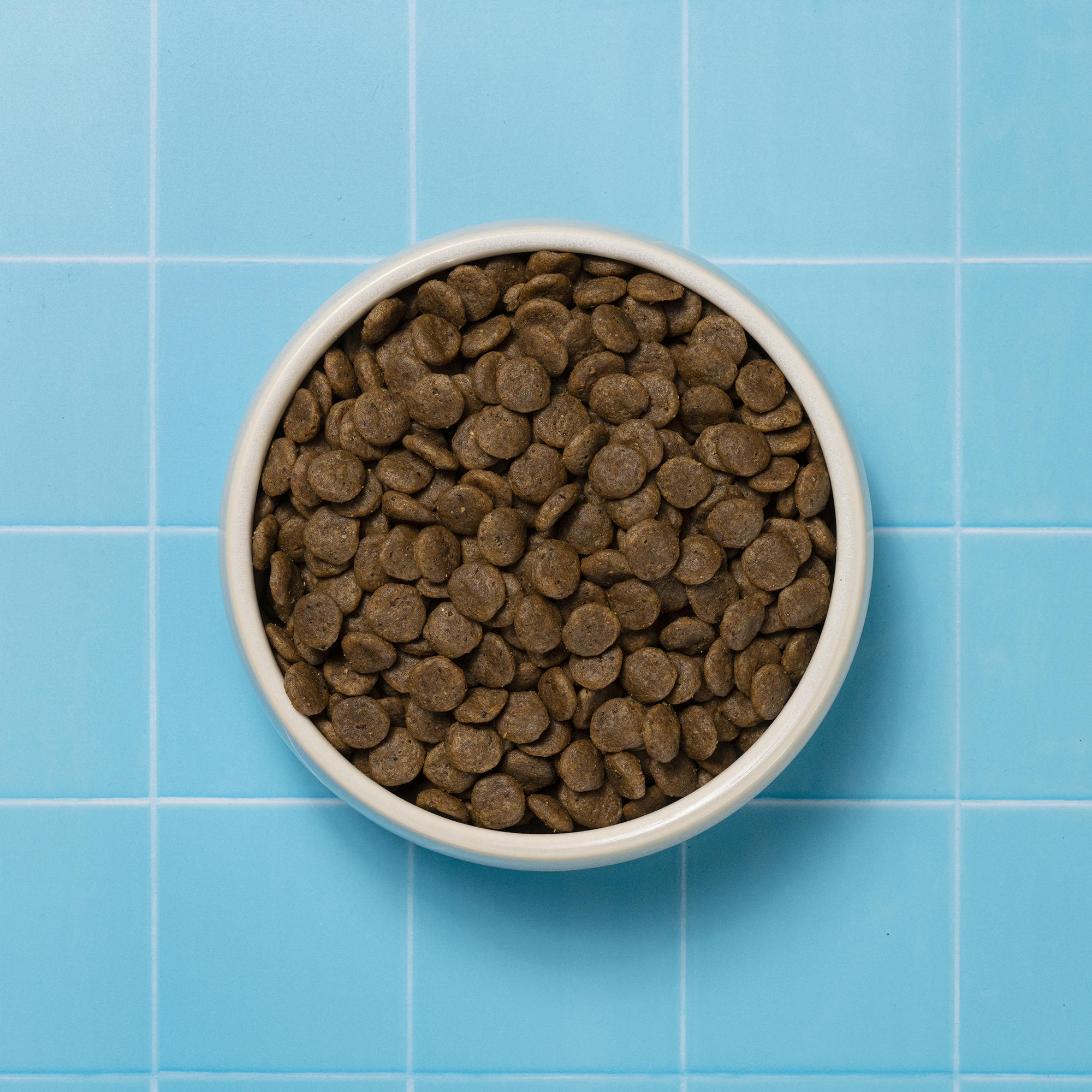 Bowl of Gastrointestinal Dry Dog Food