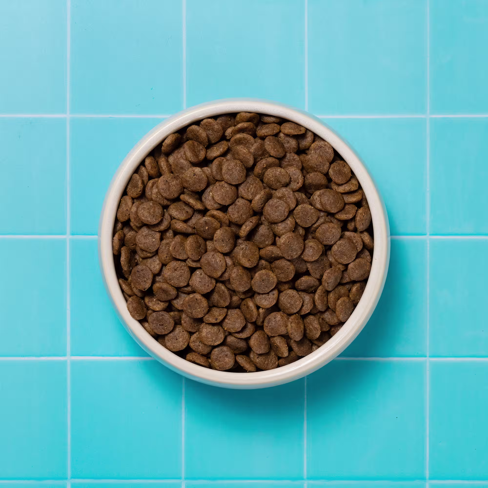 Bowl of Gastrointestinal Dry Dog Food