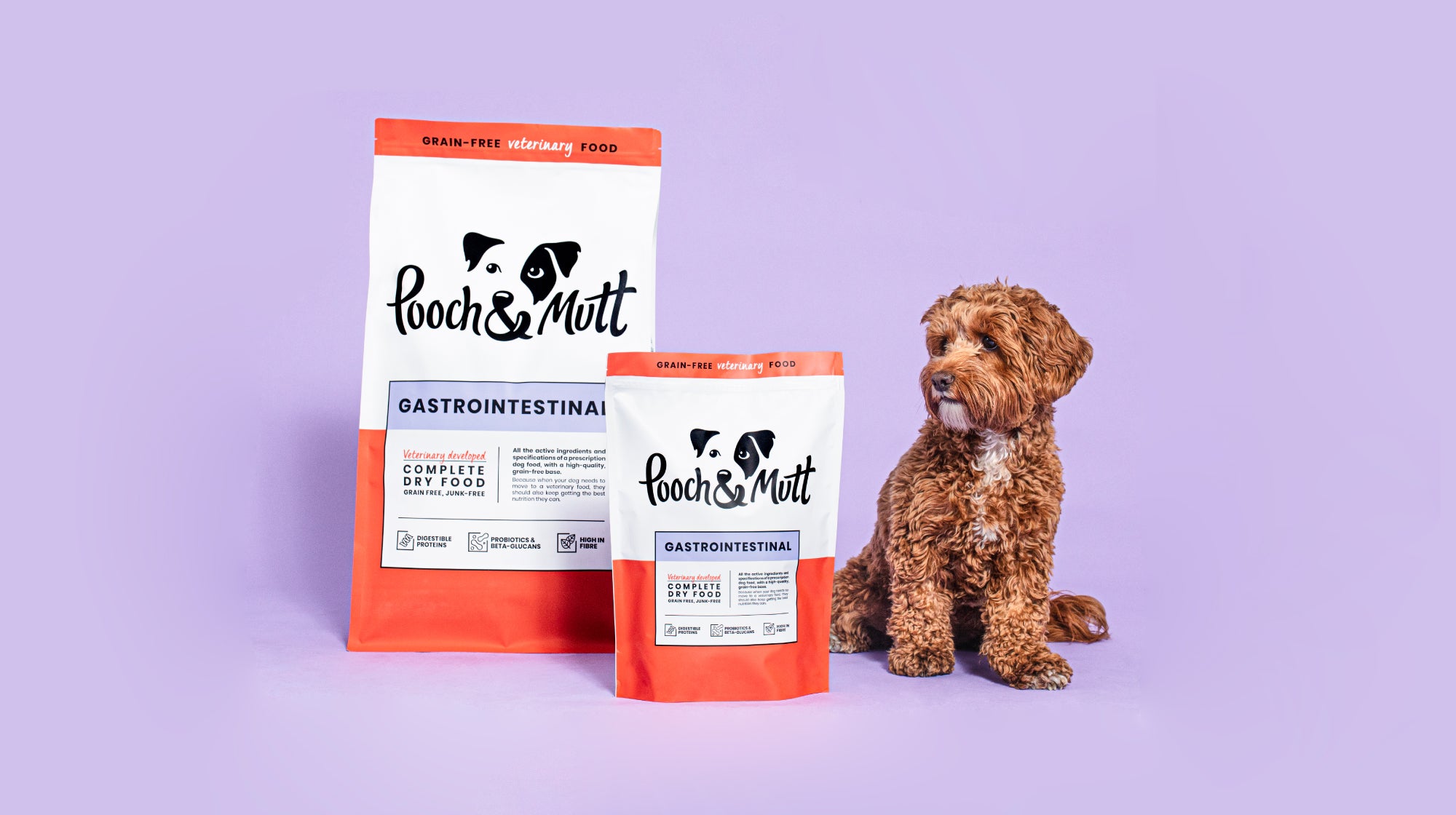 Everything you need to know  about hydrolysed dog food-Image 3