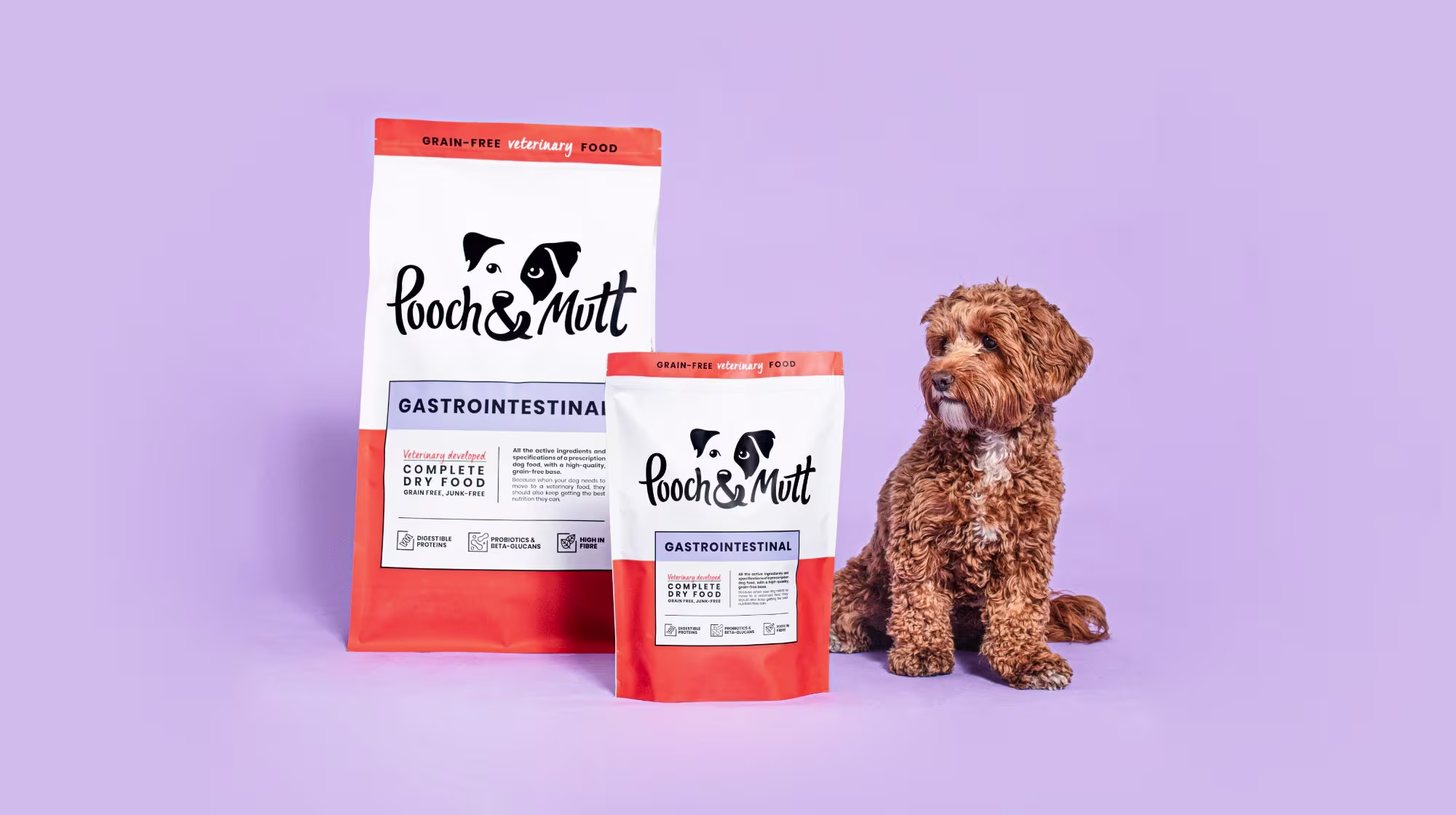 Everything you need to know about hydrolysed dog food-Image 3