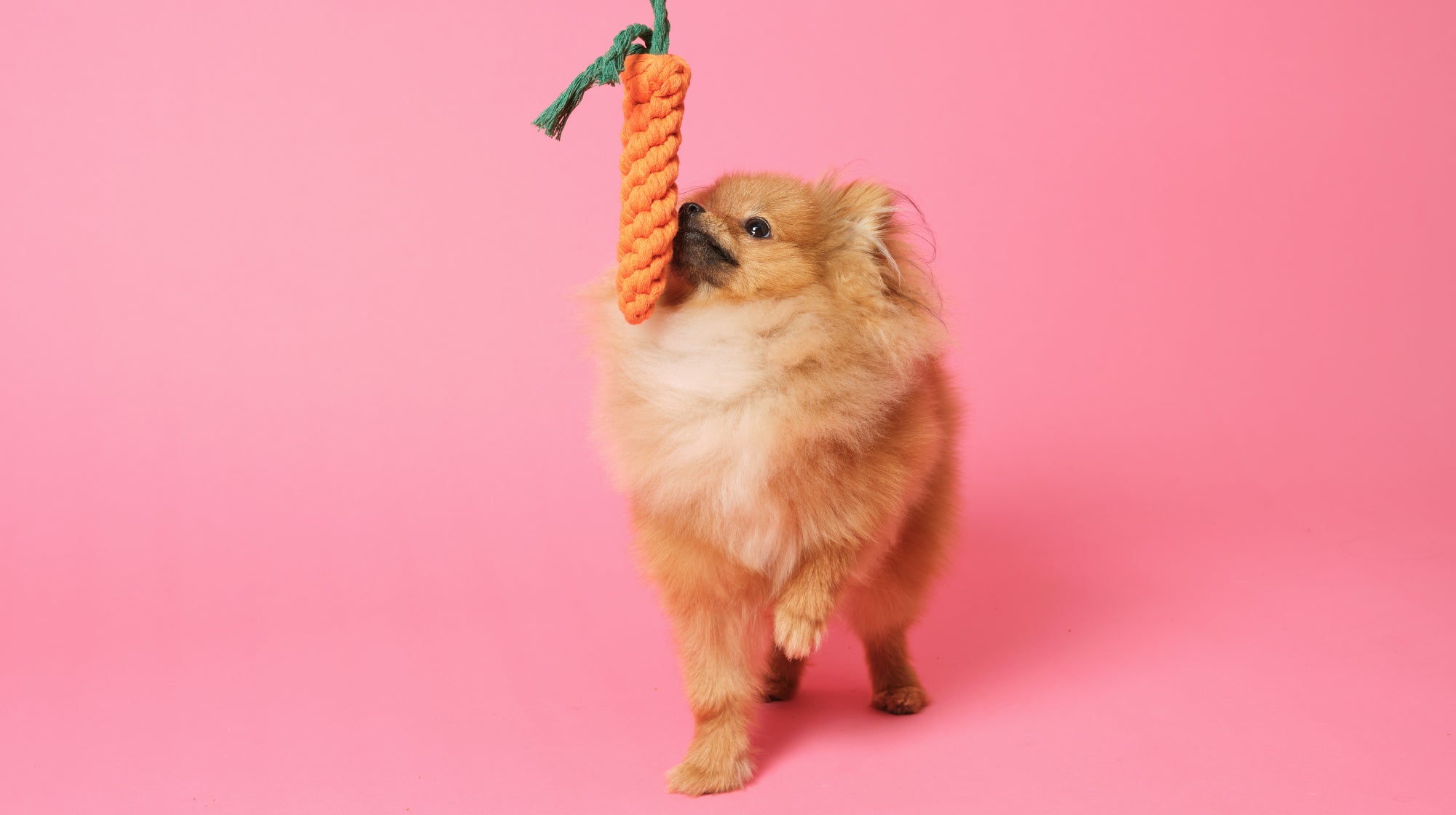 How to beat TikTok’s trending icks-Image 2