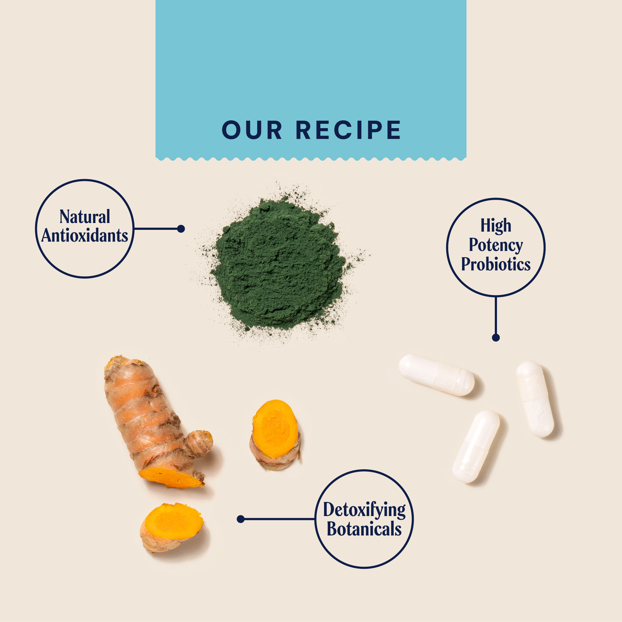 P&M INGREDIENT IMAGE SUPPLEMENTS VETERINARY GUT DETOXIFIER