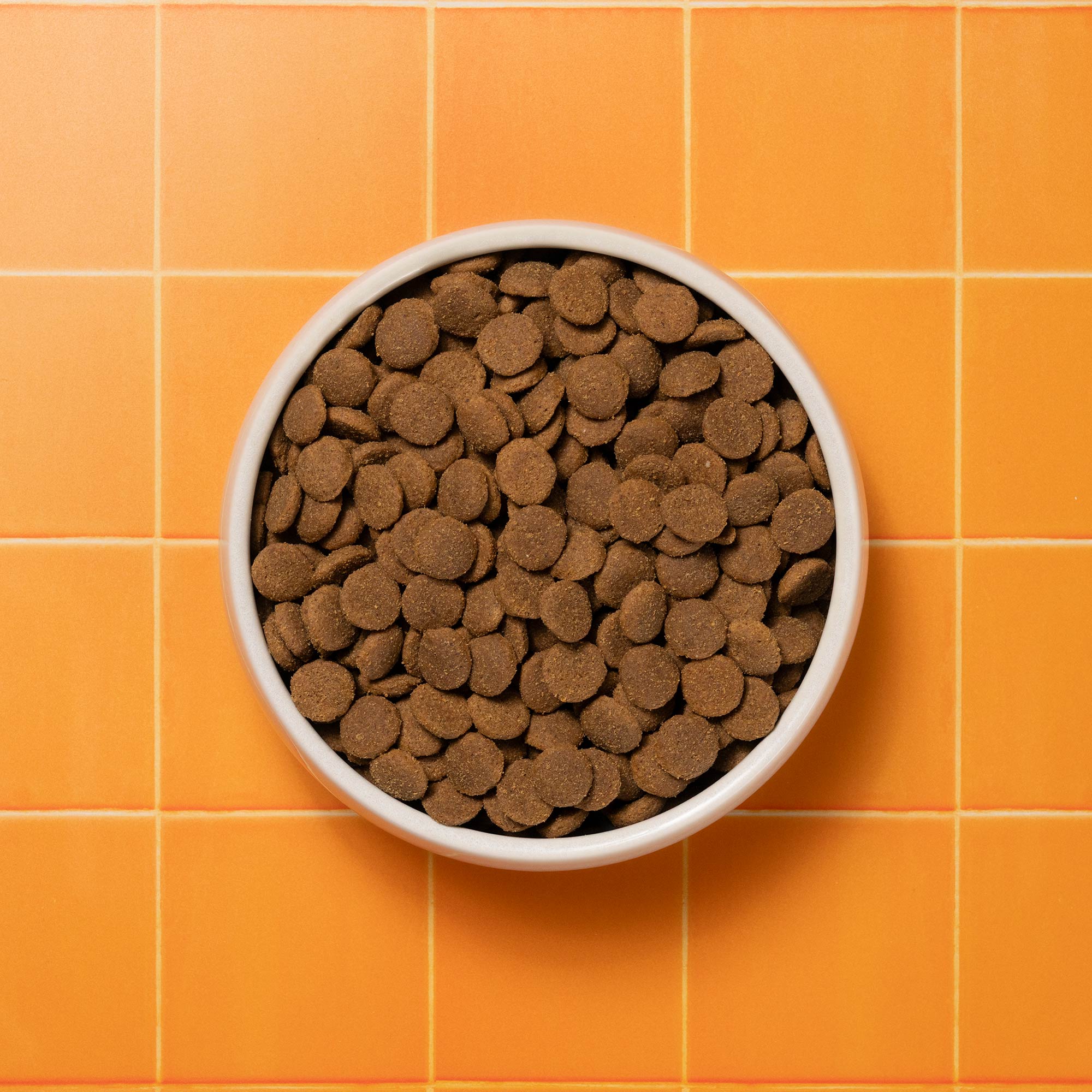 BOWLS PRIMAL WILD BOAR FULL BOWL P&M REBRAND