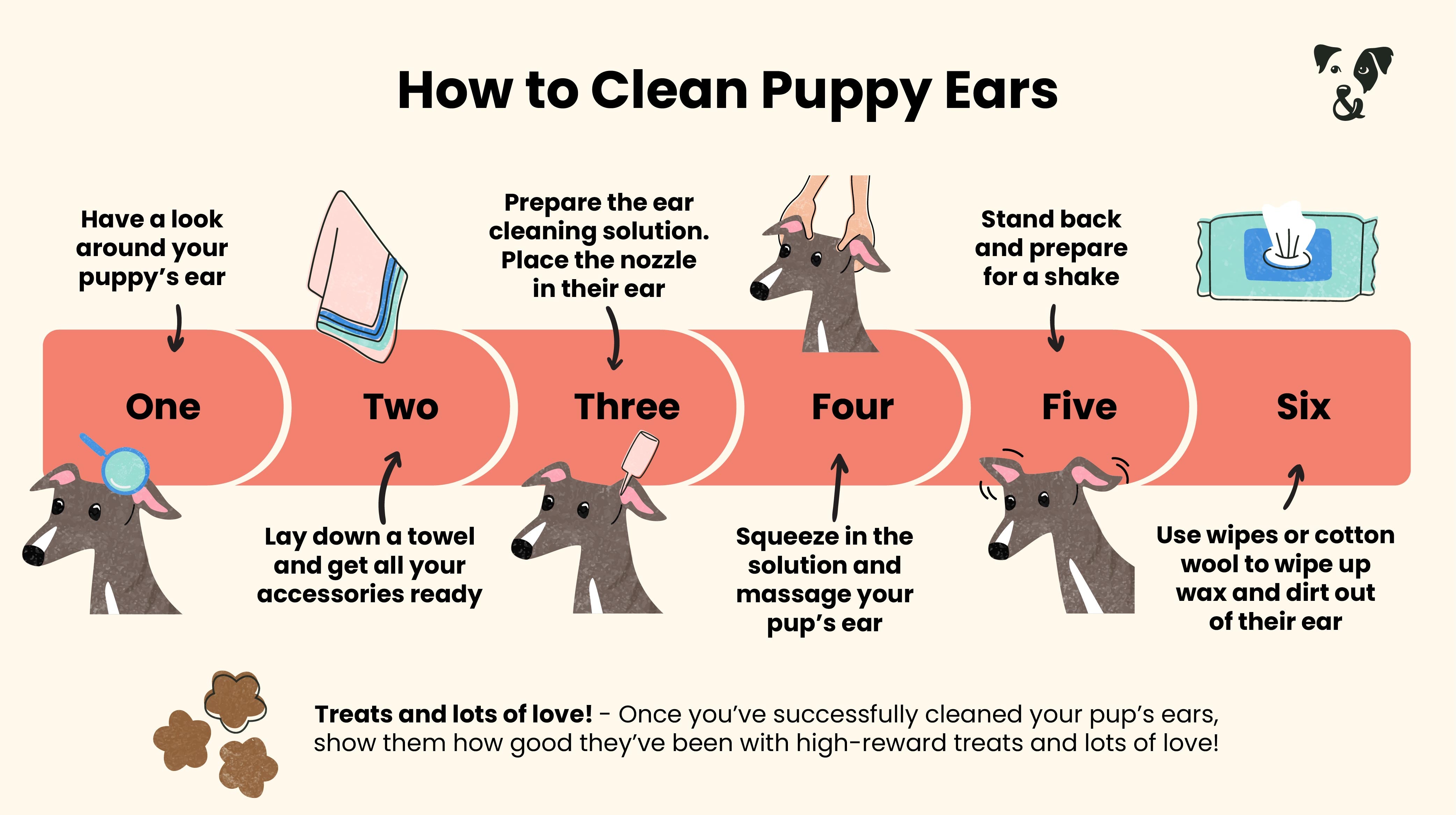 How to clean your puppy's ears-Image 1