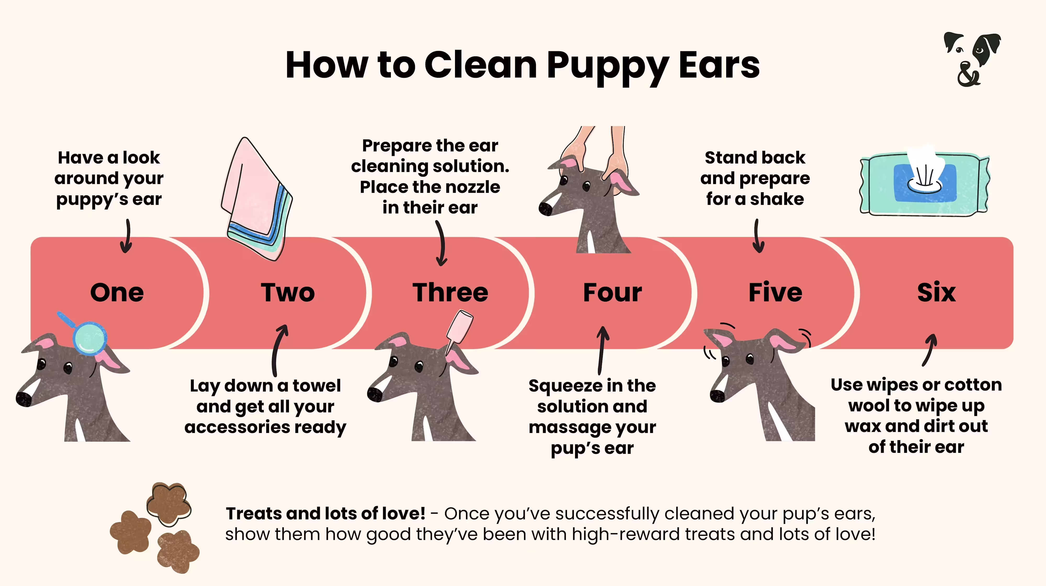 How to clean your puppy's ears-Image 1