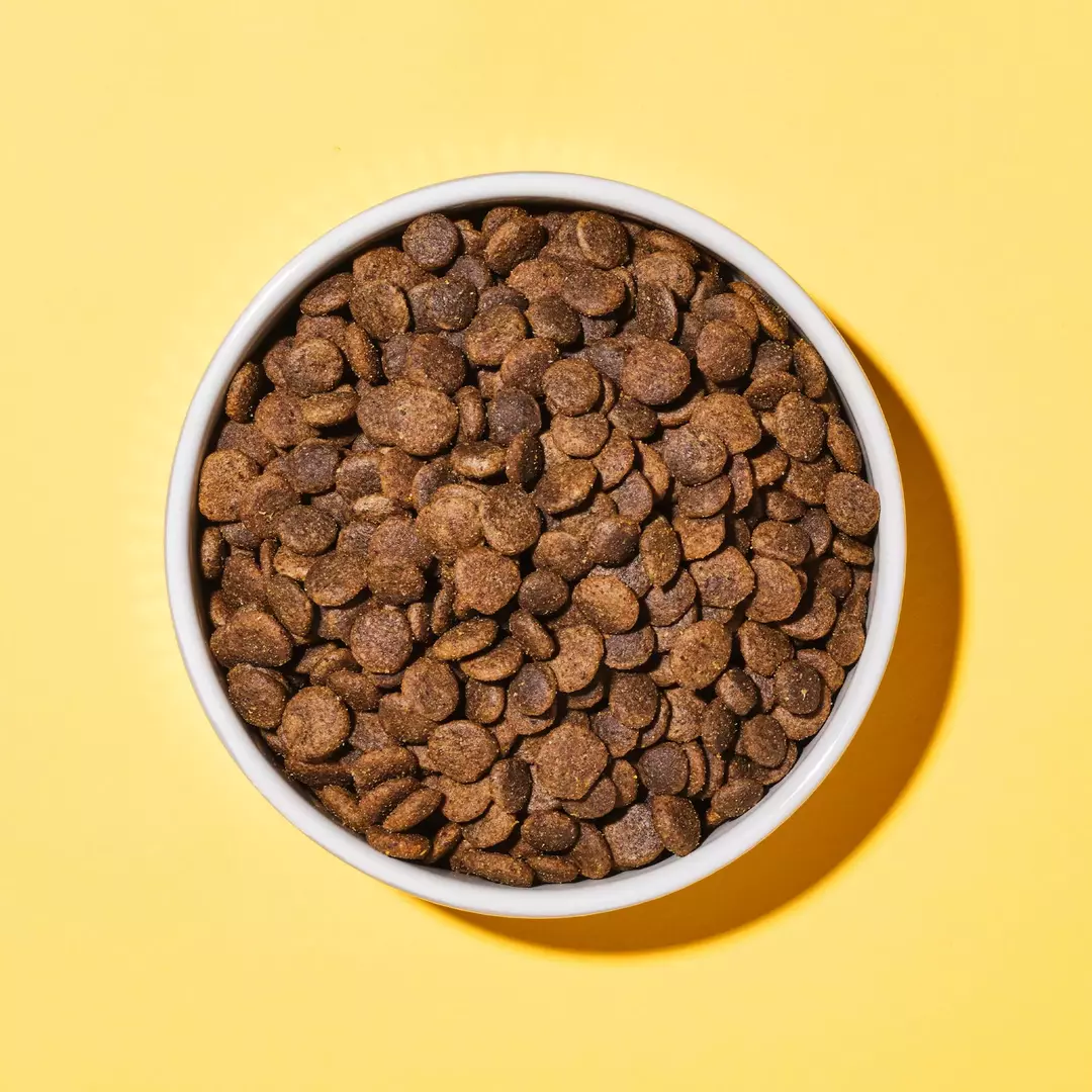 Soft and Shiny Hypoallergenic Dog Food Bowl