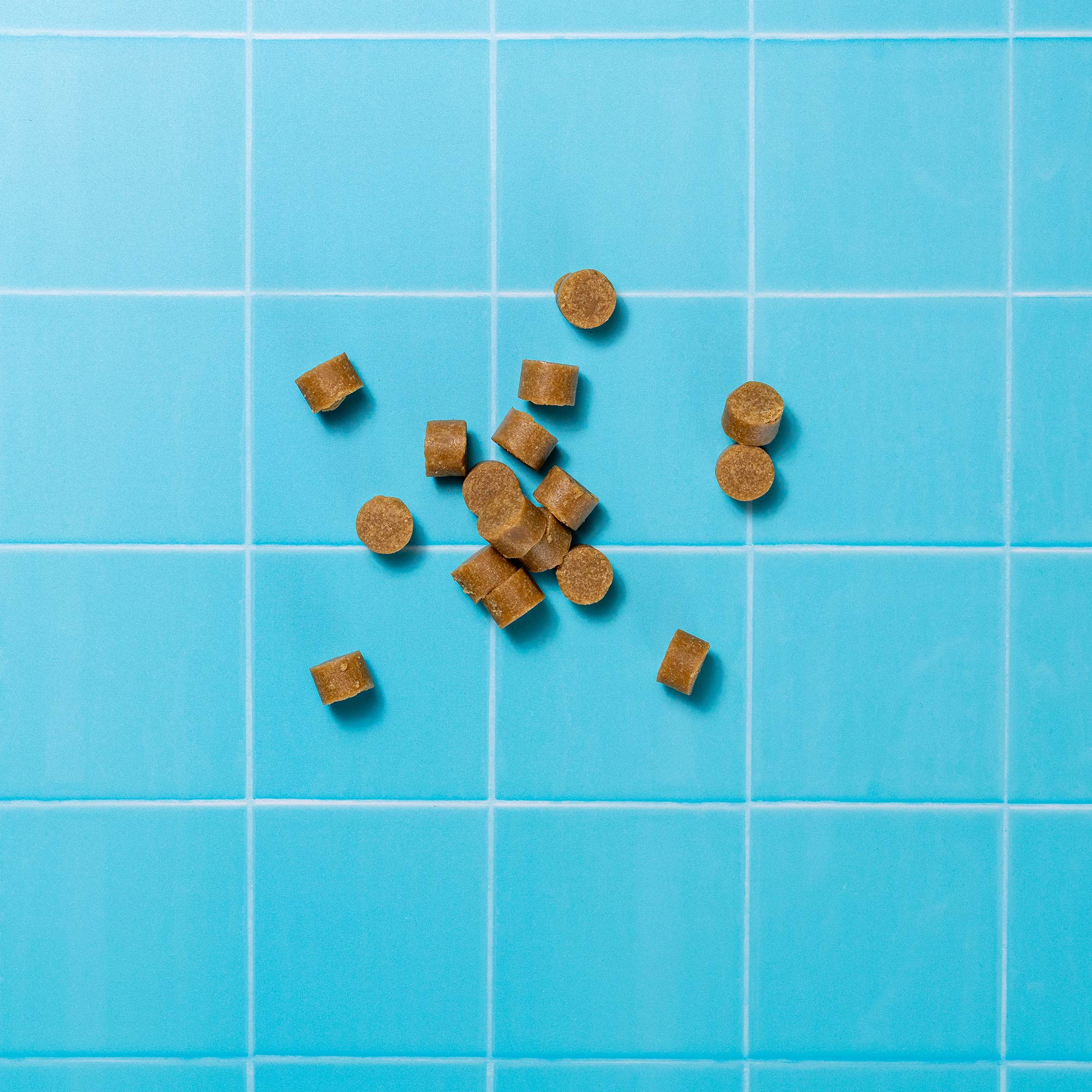 MBS VETERINARY P&M REBRAND