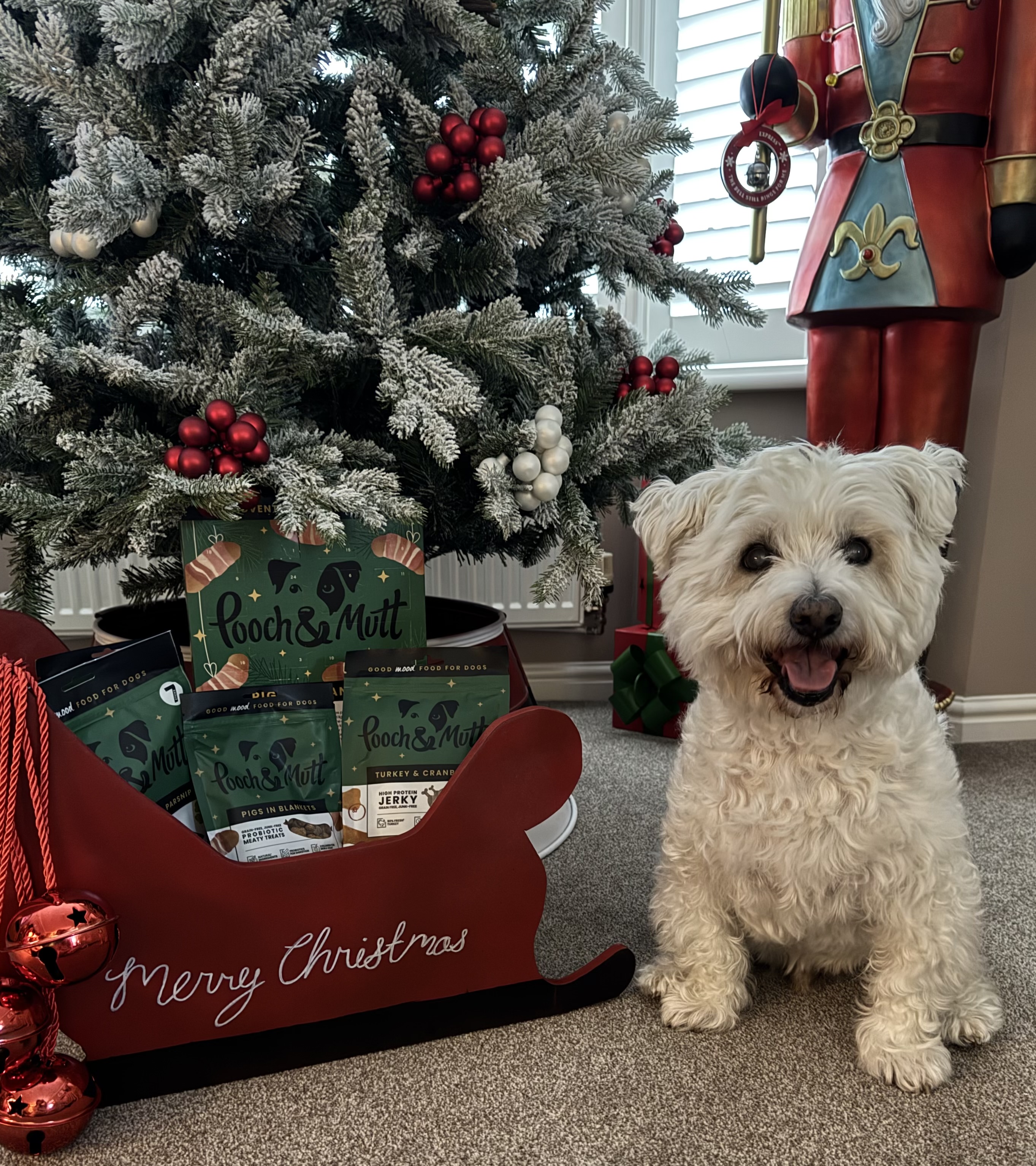 IMG 4234 - Alanna Masters