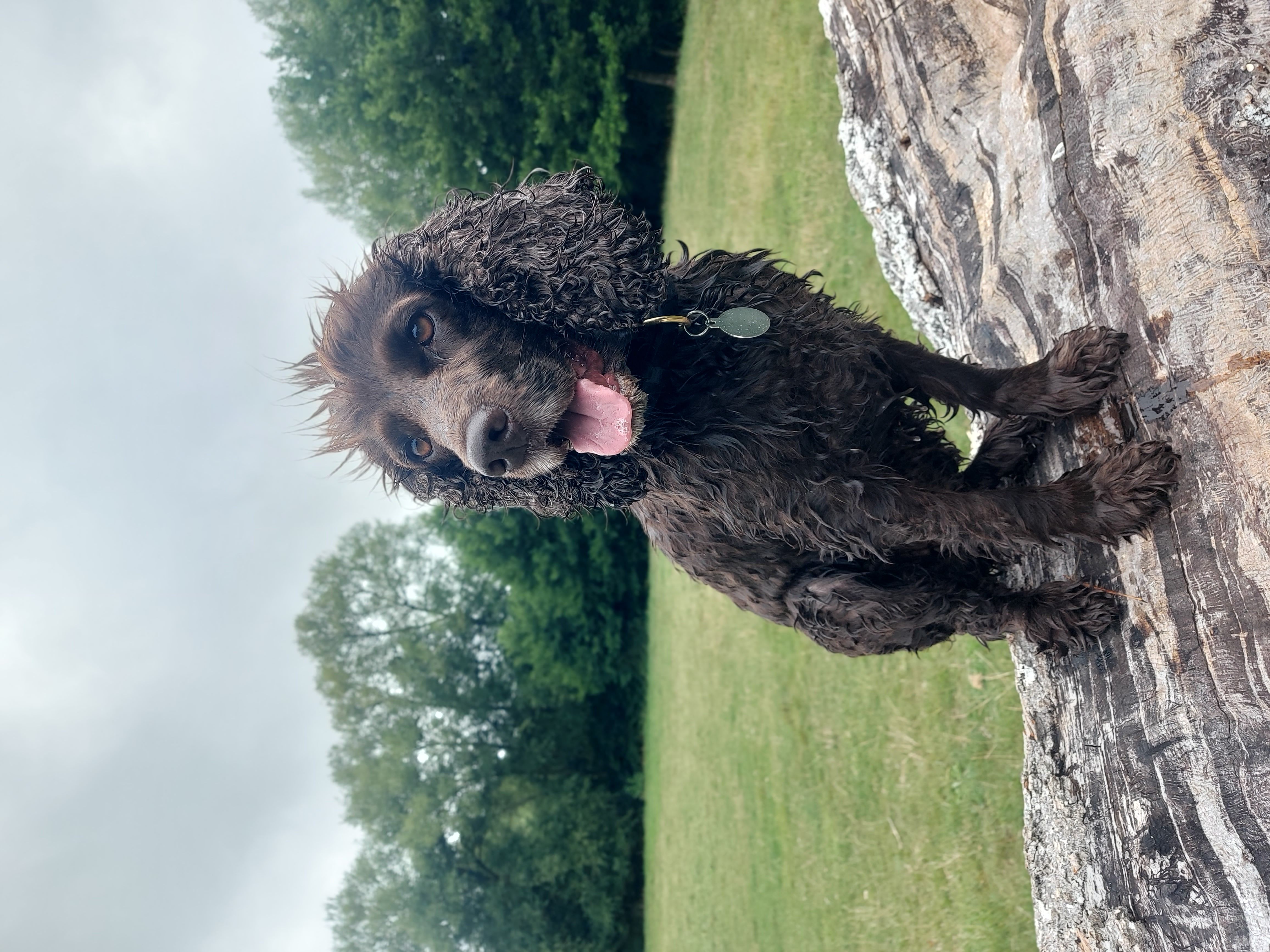 20250803 120655 - Lydia Forty