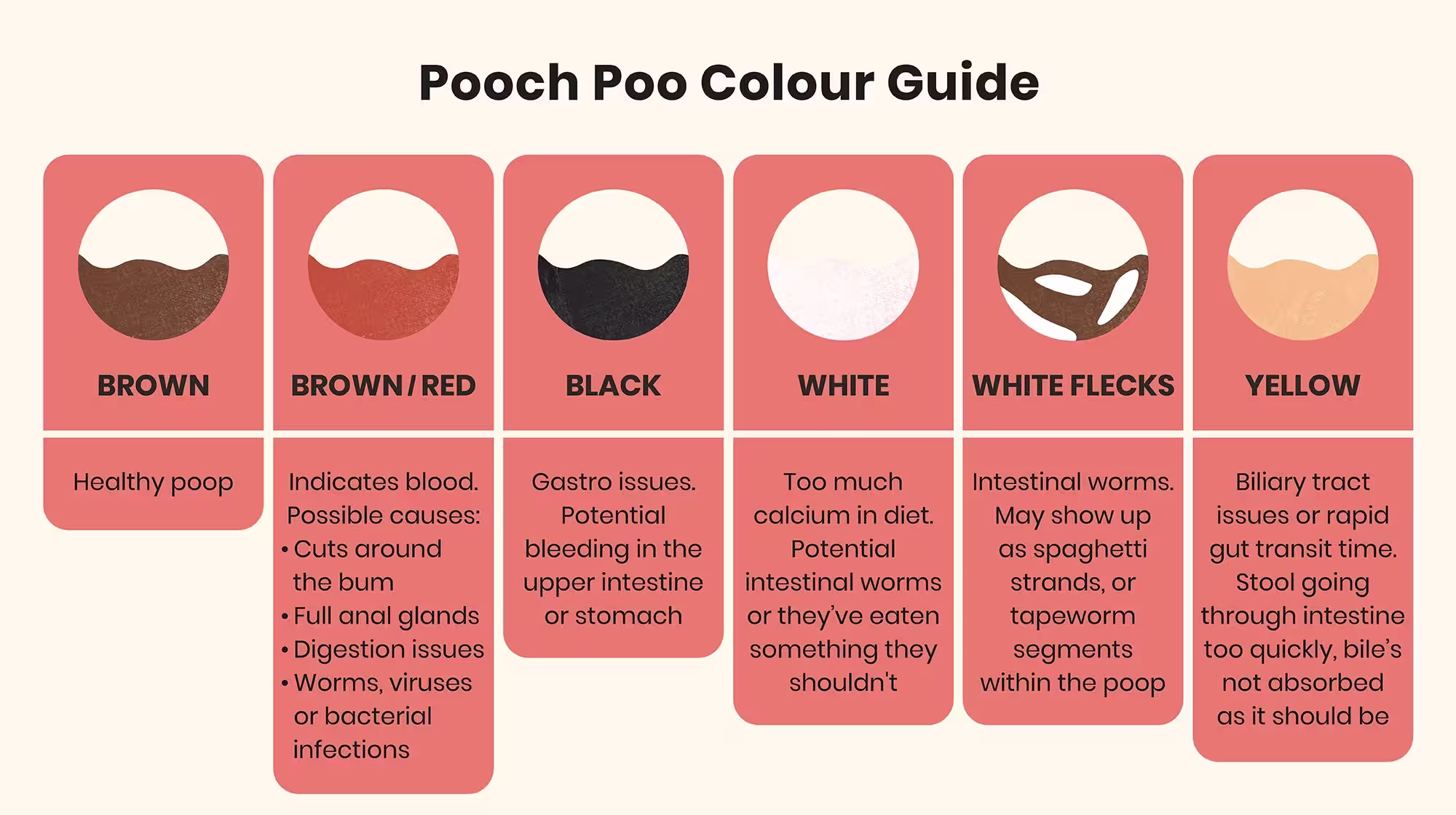 What can your dog's poo tell you about their health?-Image 2