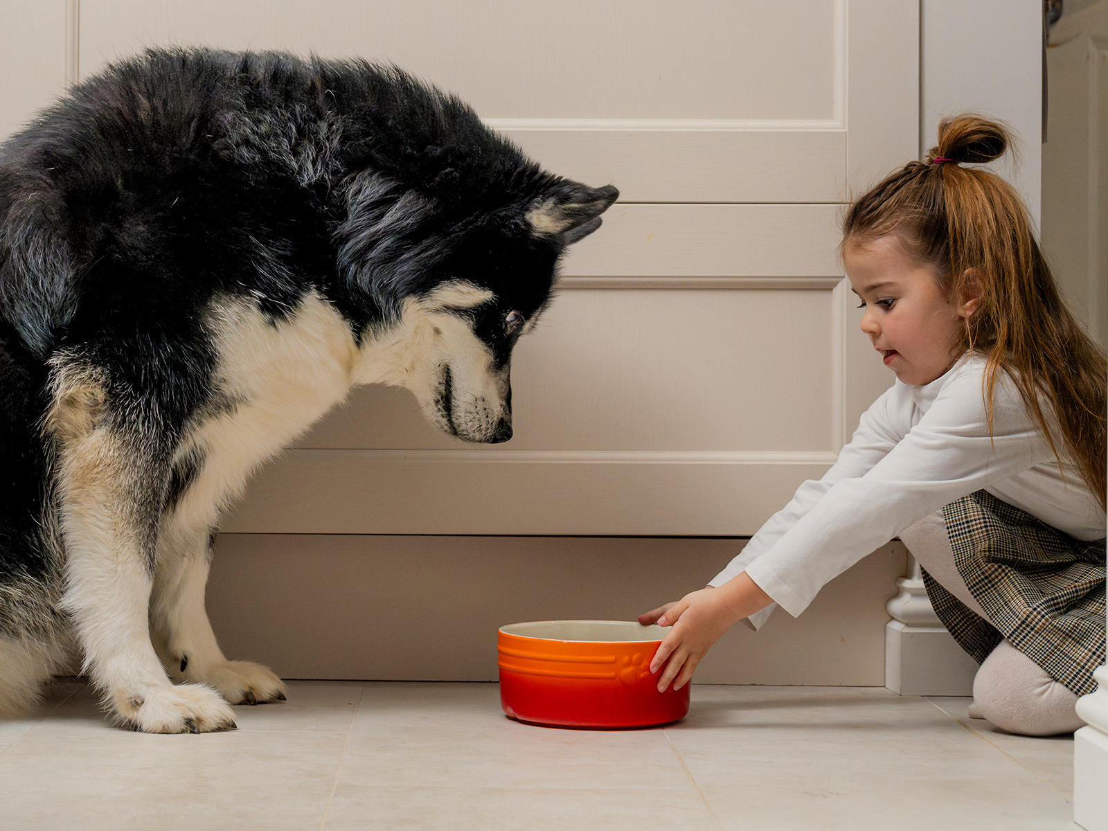 P&M WEBISTE BANNER IMAGE ABOUT OUR FOOD PDP