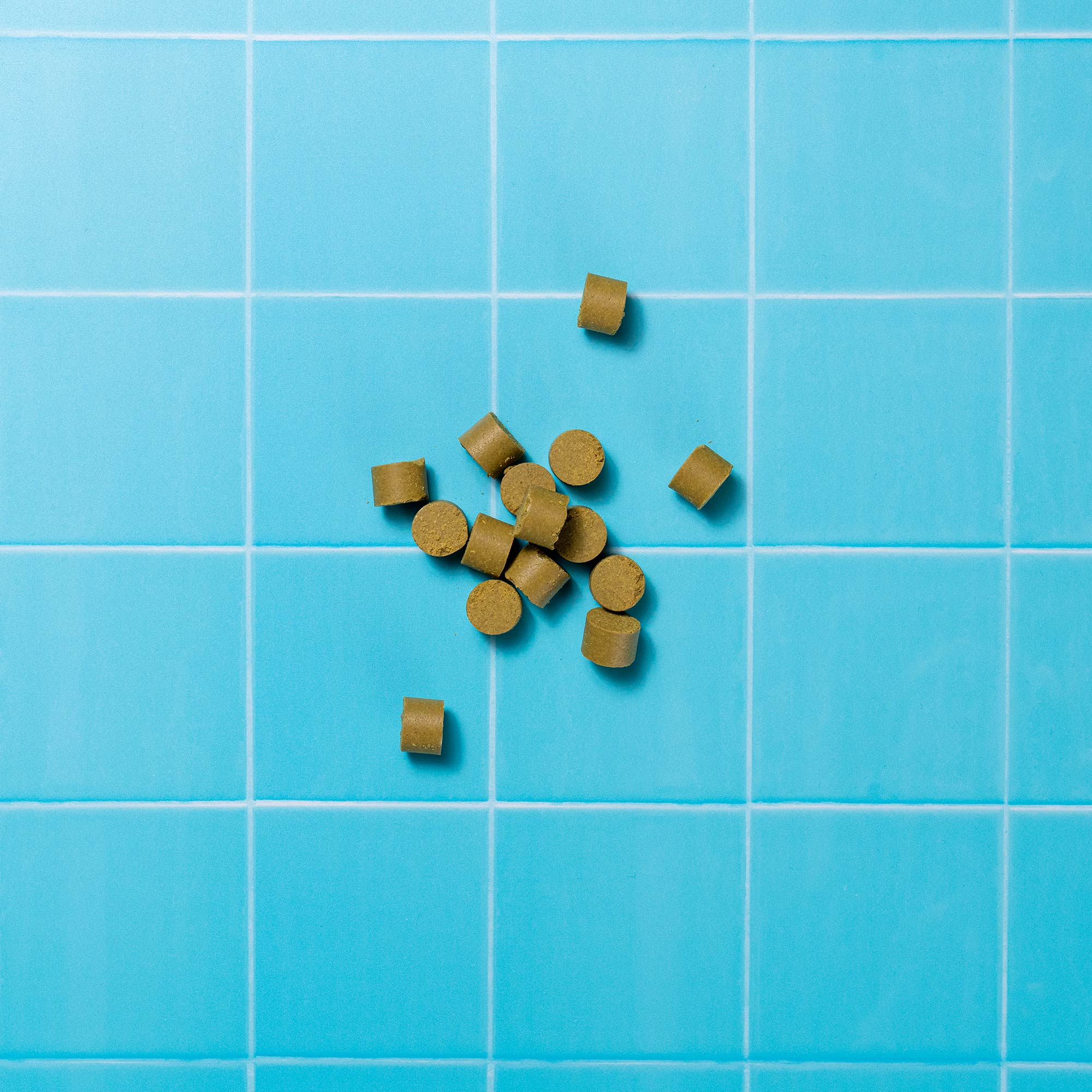 GSS VETERINARY P&M REBRAND