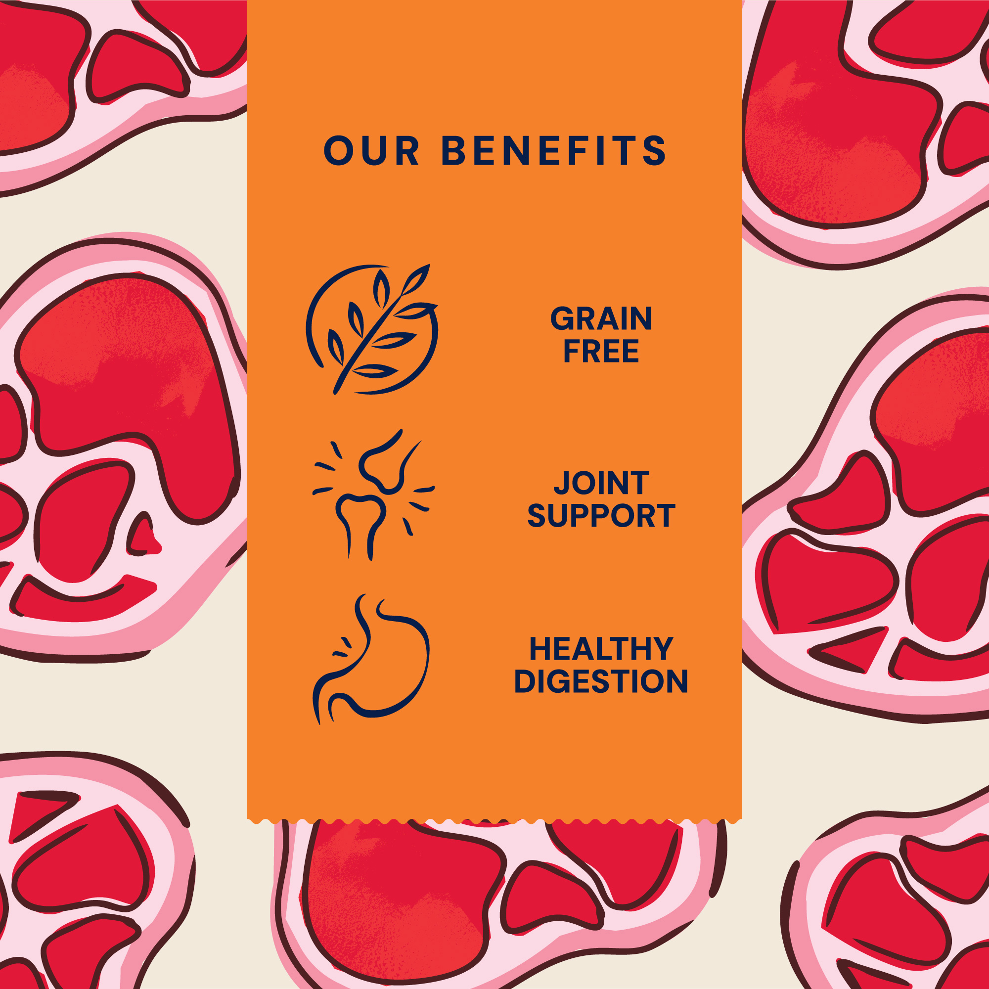 P&M BENEFIT-CARD DRY-FOOD PRIMAL WILD-BOAR