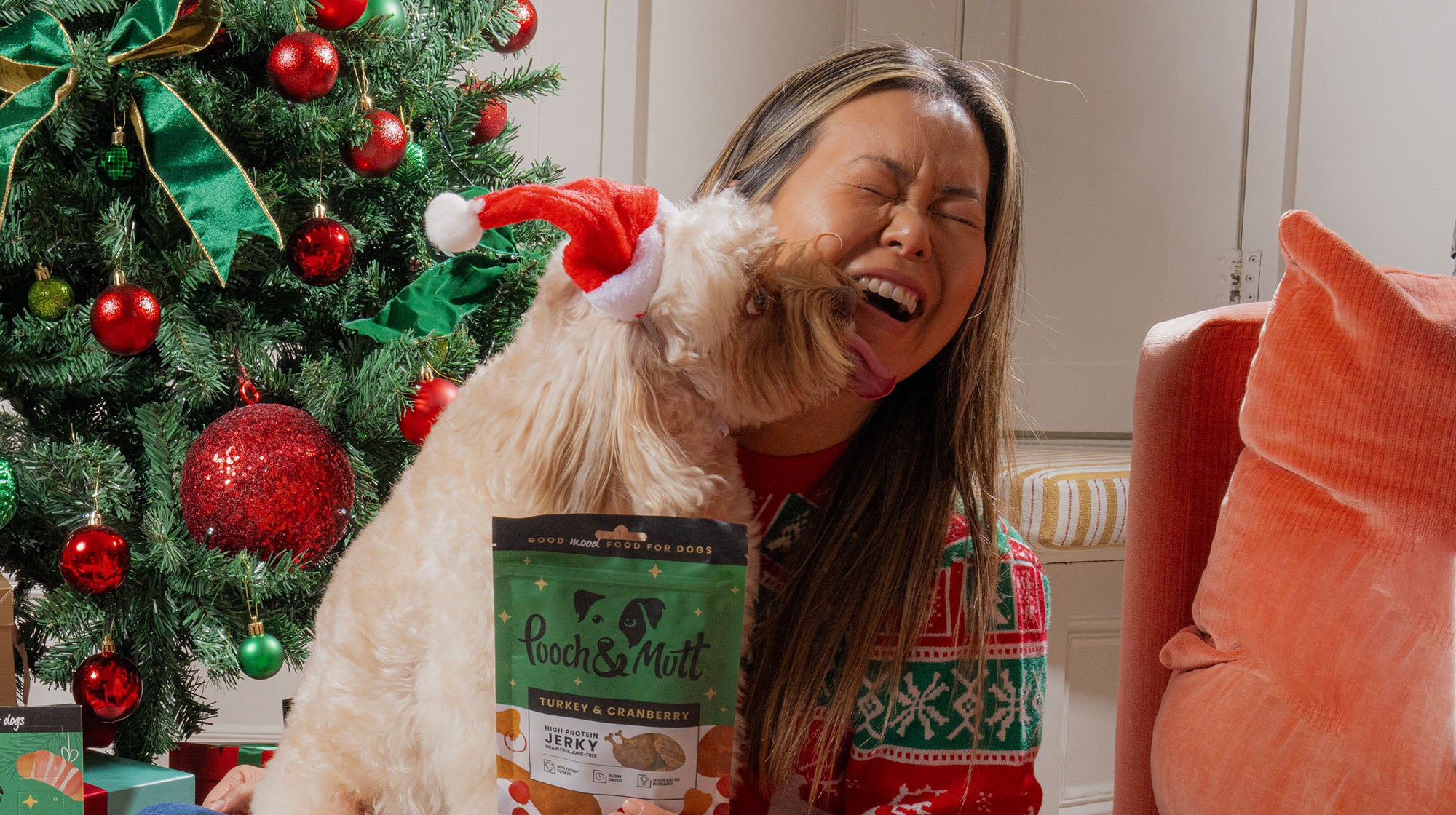 Is Christmas dinner safe for your dog?-Image 6