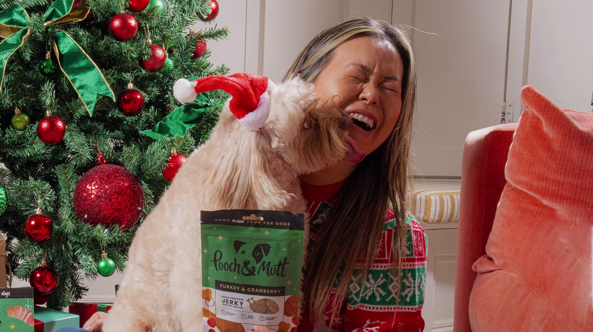 Is Christmas dinner safe for your dog?-Image 6