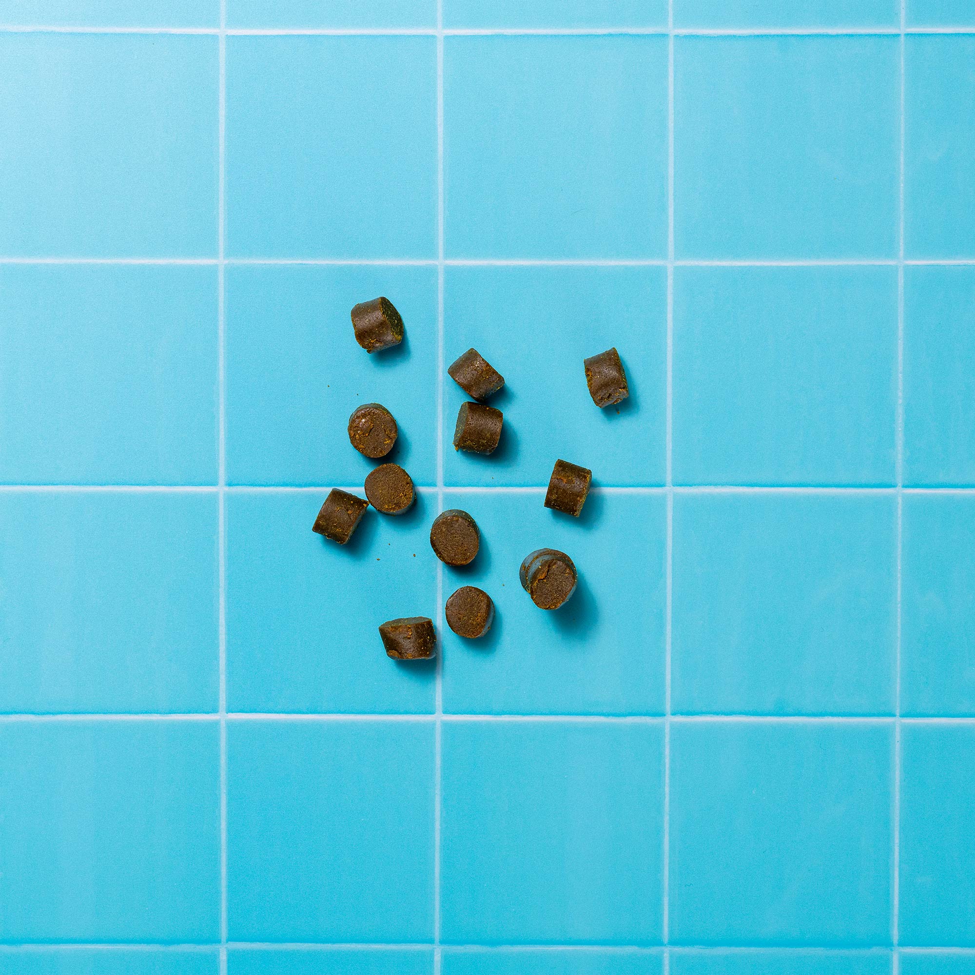 GJM VETERINARY P&M REBRAND