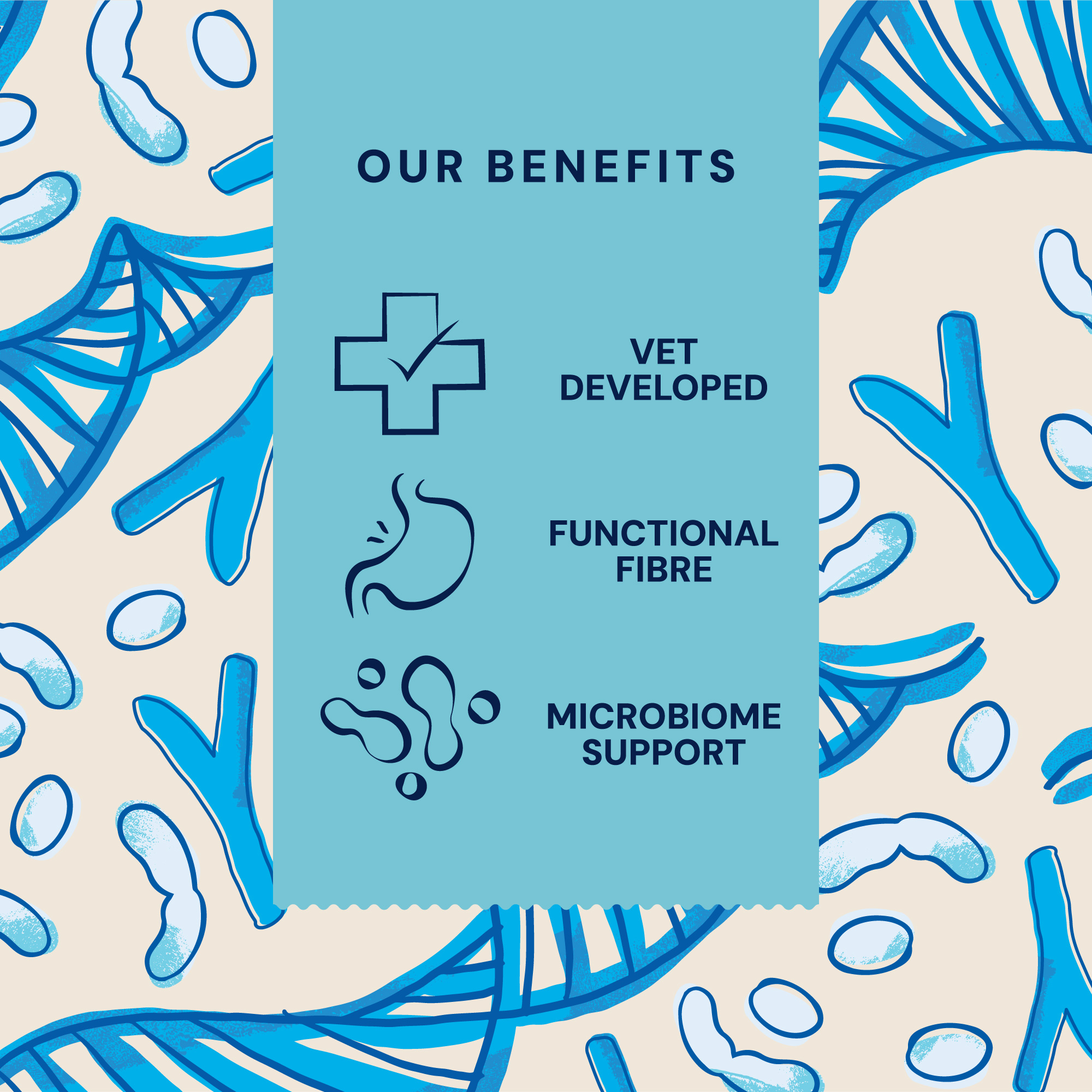 P&M BENEFIT-CARD SUPPLEMENTS VET FIBRE-SUPPORT