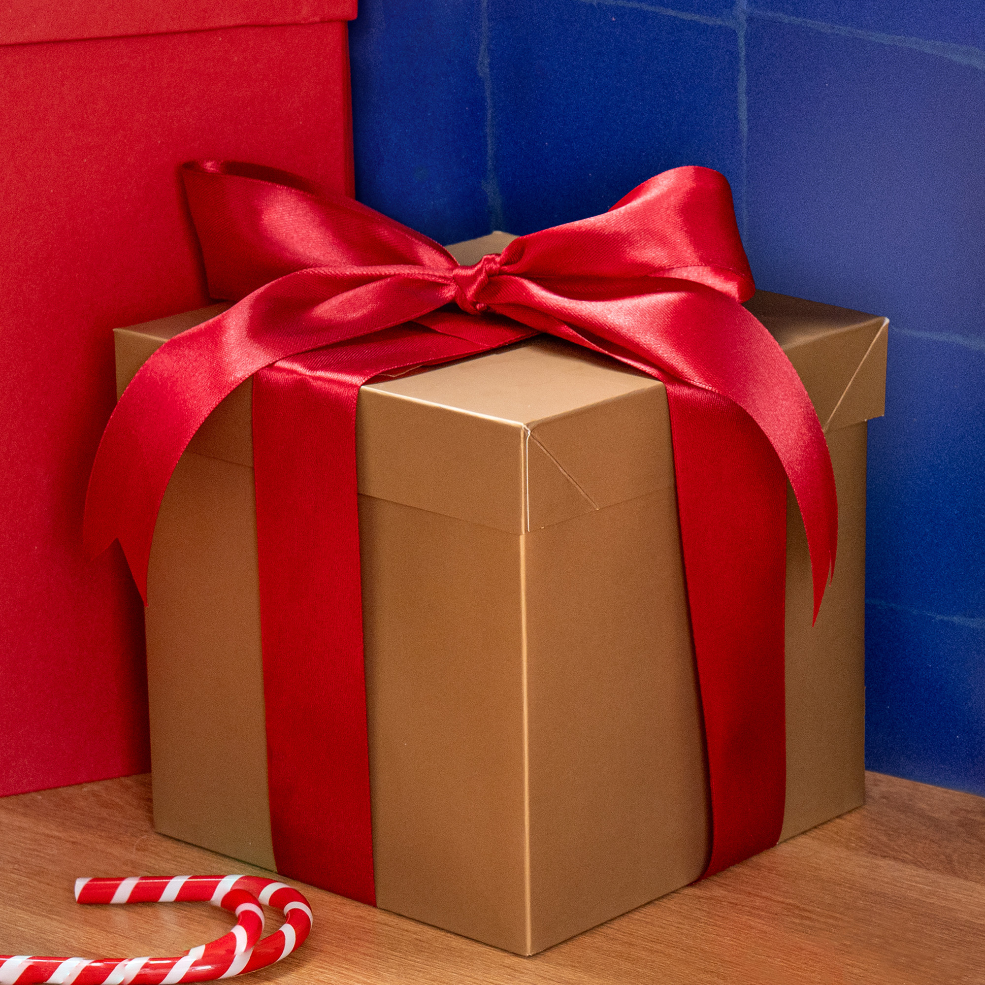 WEB CHRISTMAS COLLECTION ICON