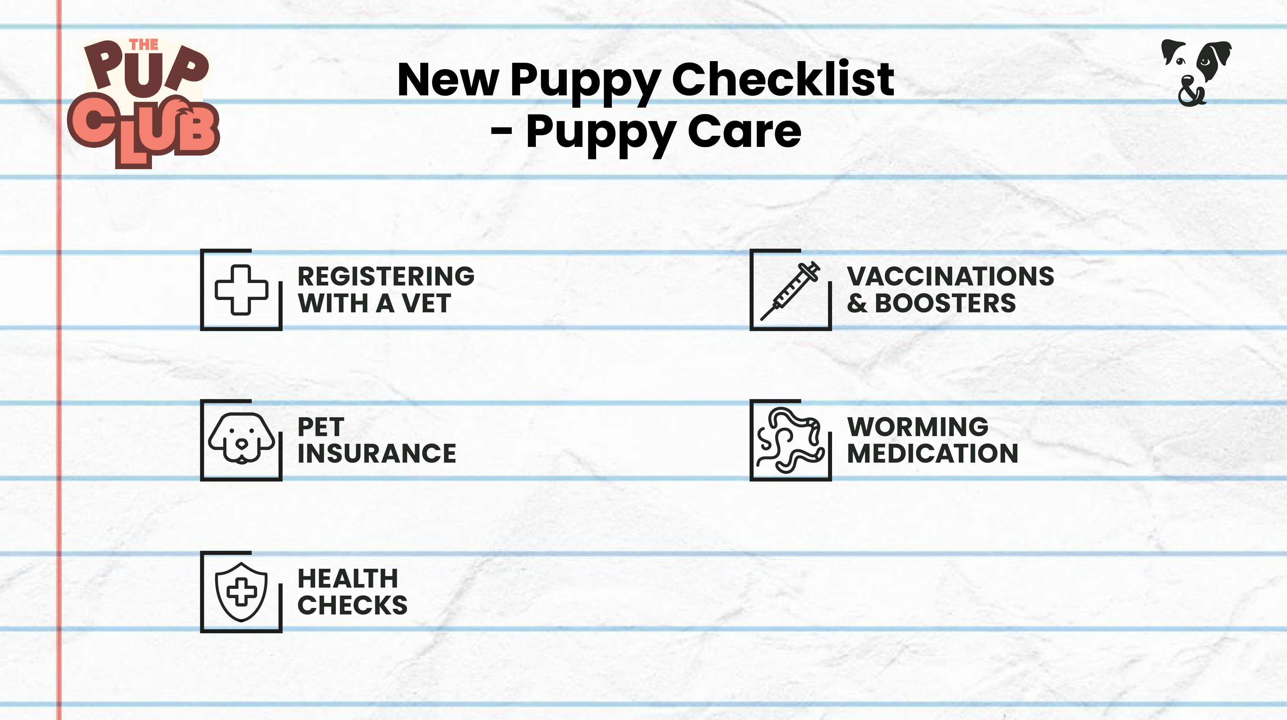 New Puppy Checklist: Essential advice from a vet-Image 3