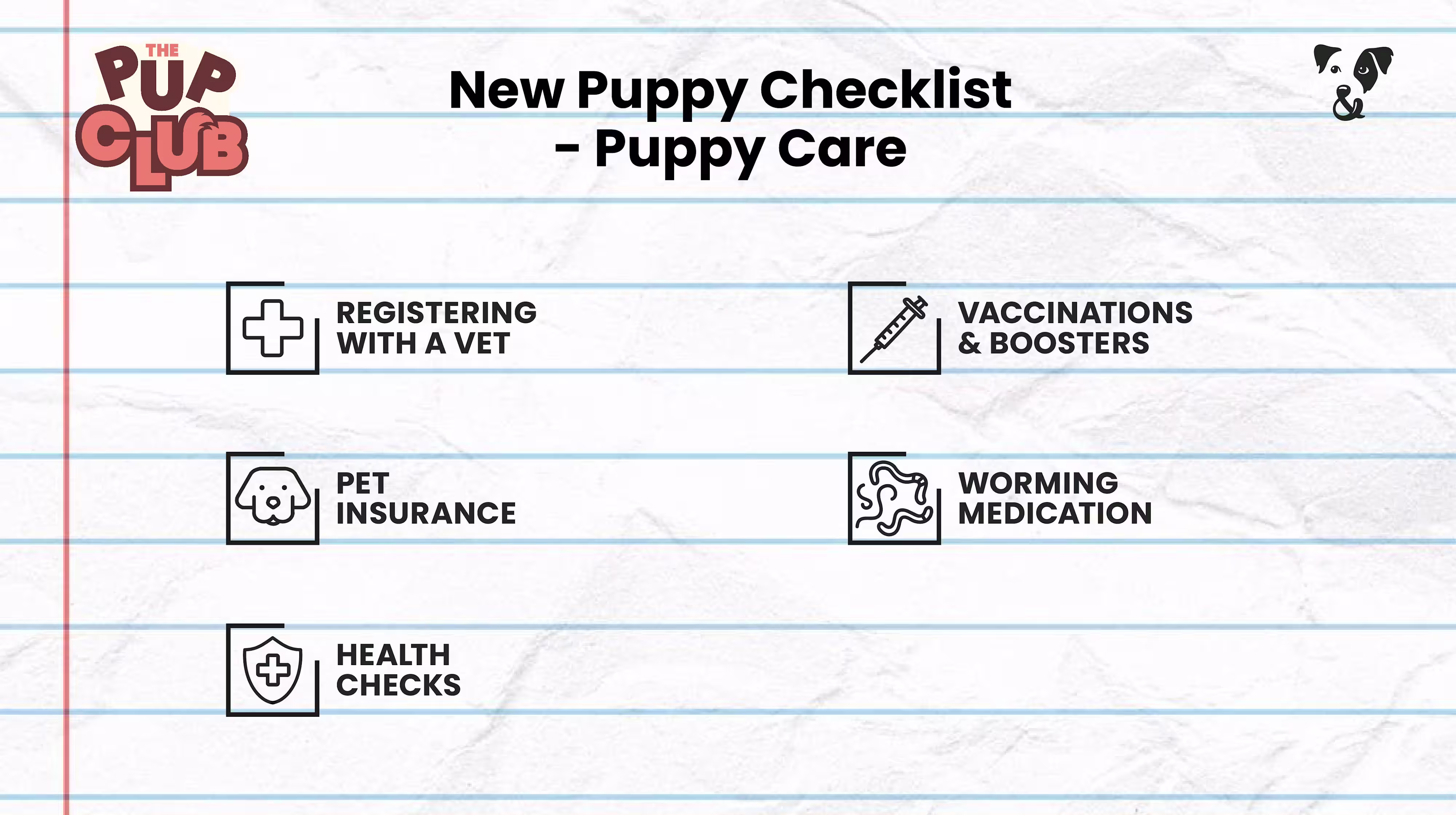 New Puppy Checklist: Essential advice from a vet-Image 3