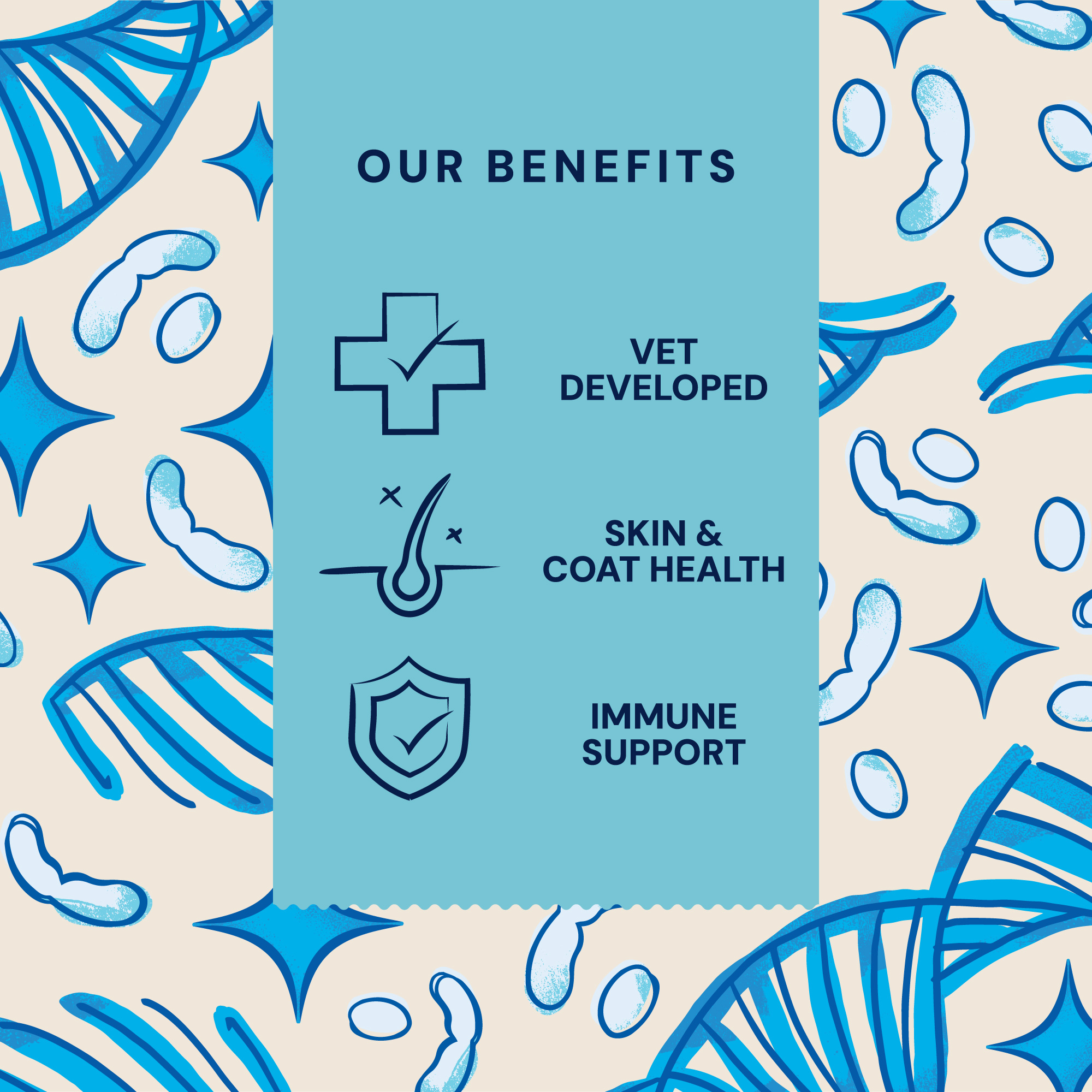 P&M BENEFIT-CARD SUPPLEMENTS VET GUT-SKIN-SUPPORT