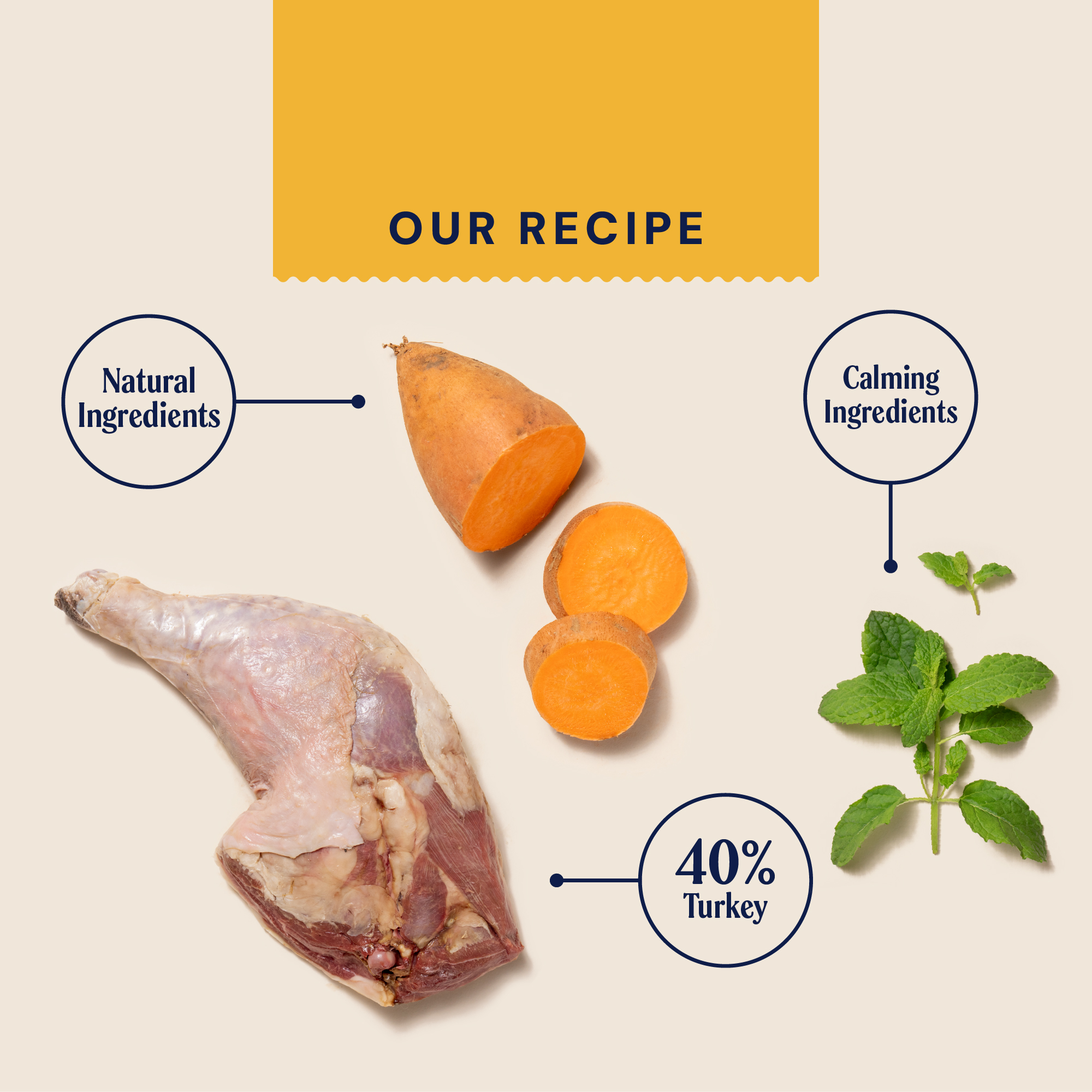 Dry Superfood For Adult Cats