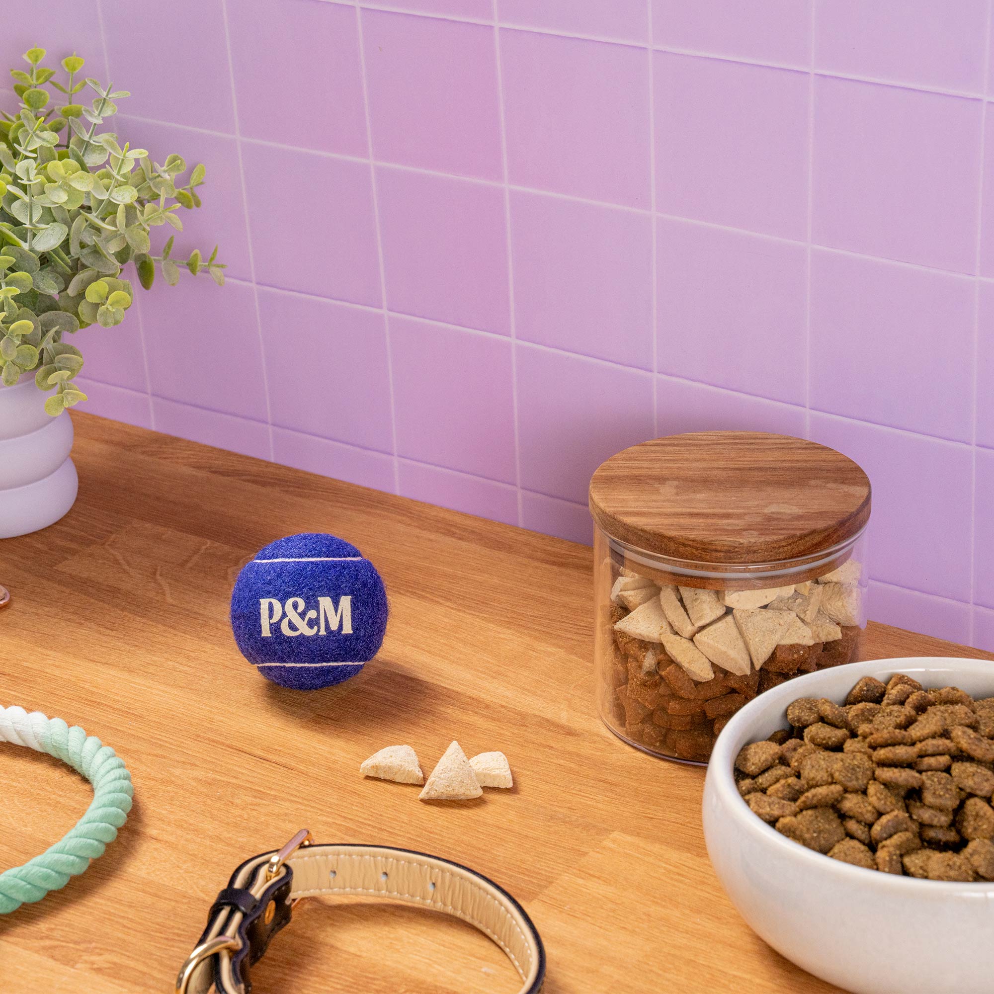 WELLBEING TOYS FETCH