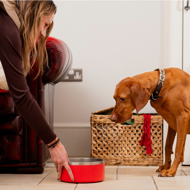 Homepage-sale-assets-hero-3