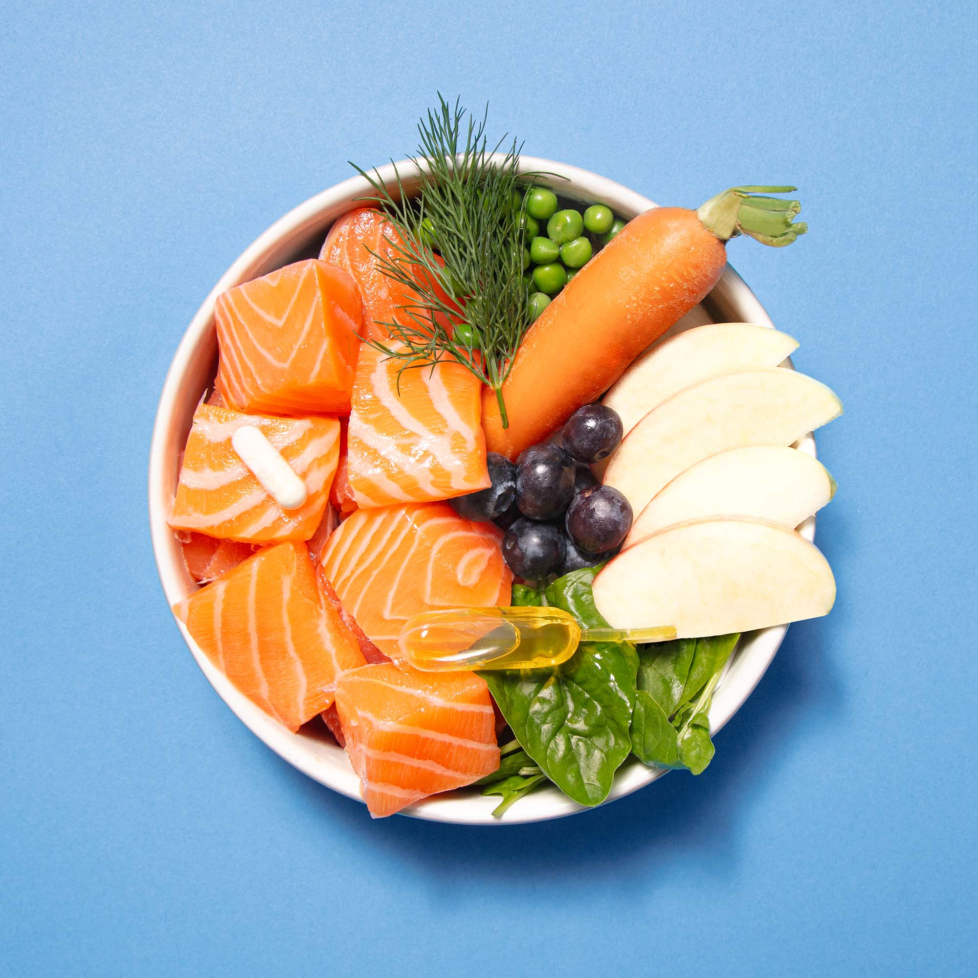 Single Protein Fresh Salmon Dry Food Clearance