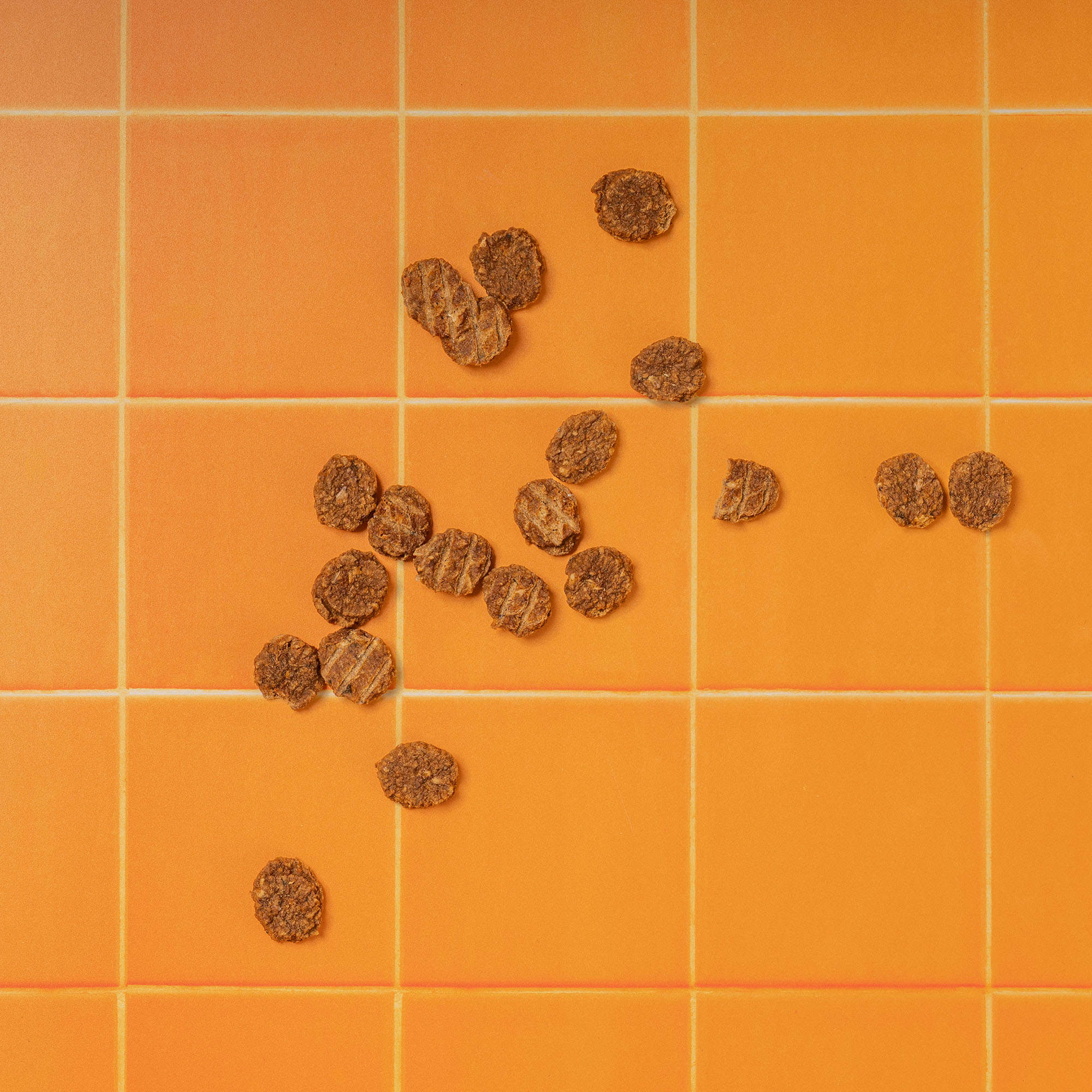 P&M CAT JERKY TOPDOWN TILE
