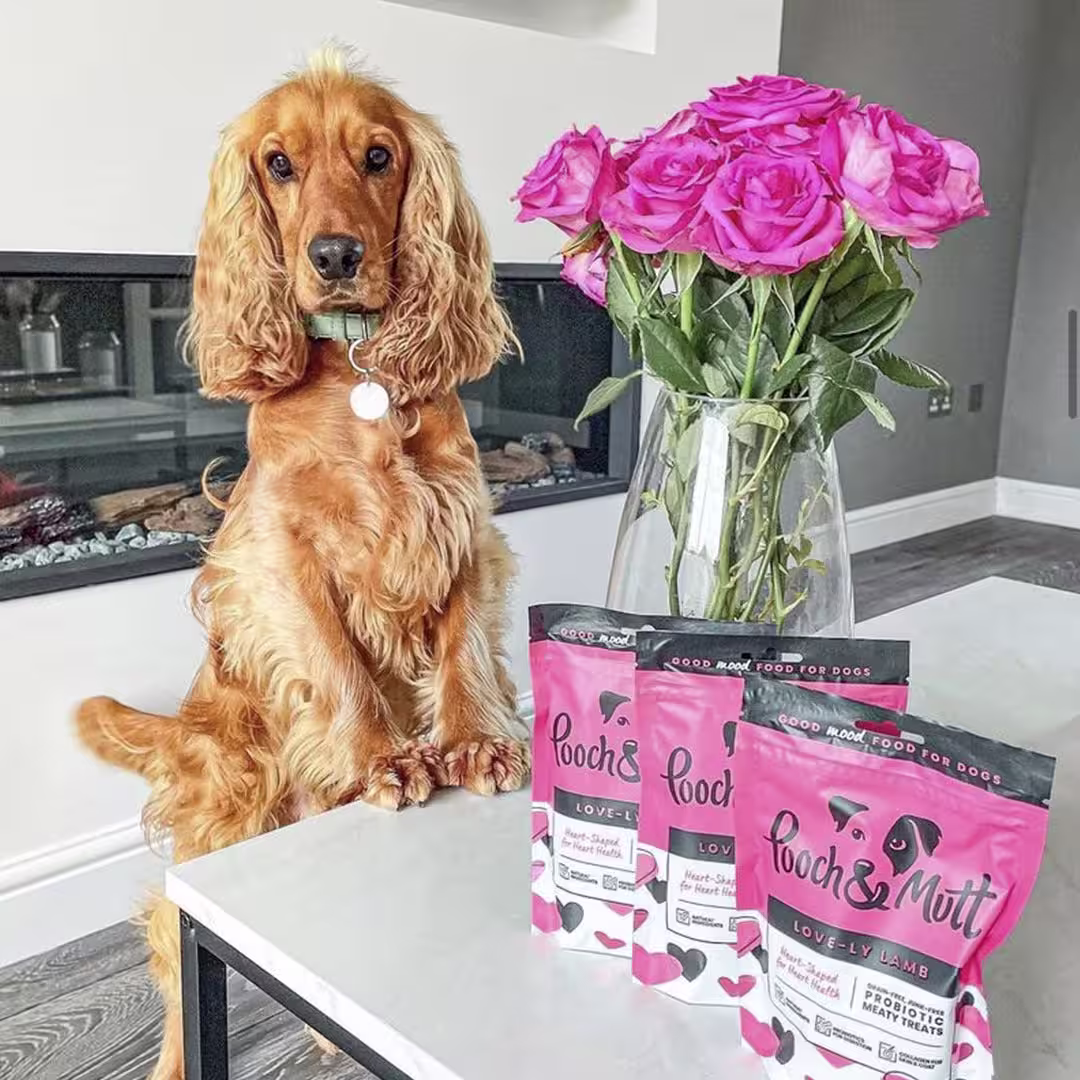 6 reasons to love our Love-ly Lamb Meaty Treats-Image 4