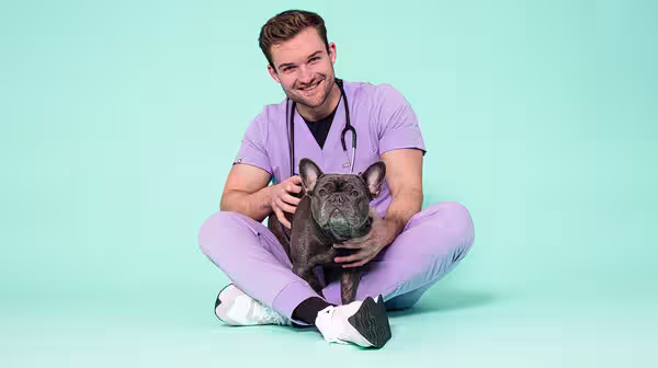 An image of Vet Alex, a 30-something year old man with dark hair, smiling at the camera, wearing lilac vet scrubs, with a grey French Bulldog, against a pale blue background