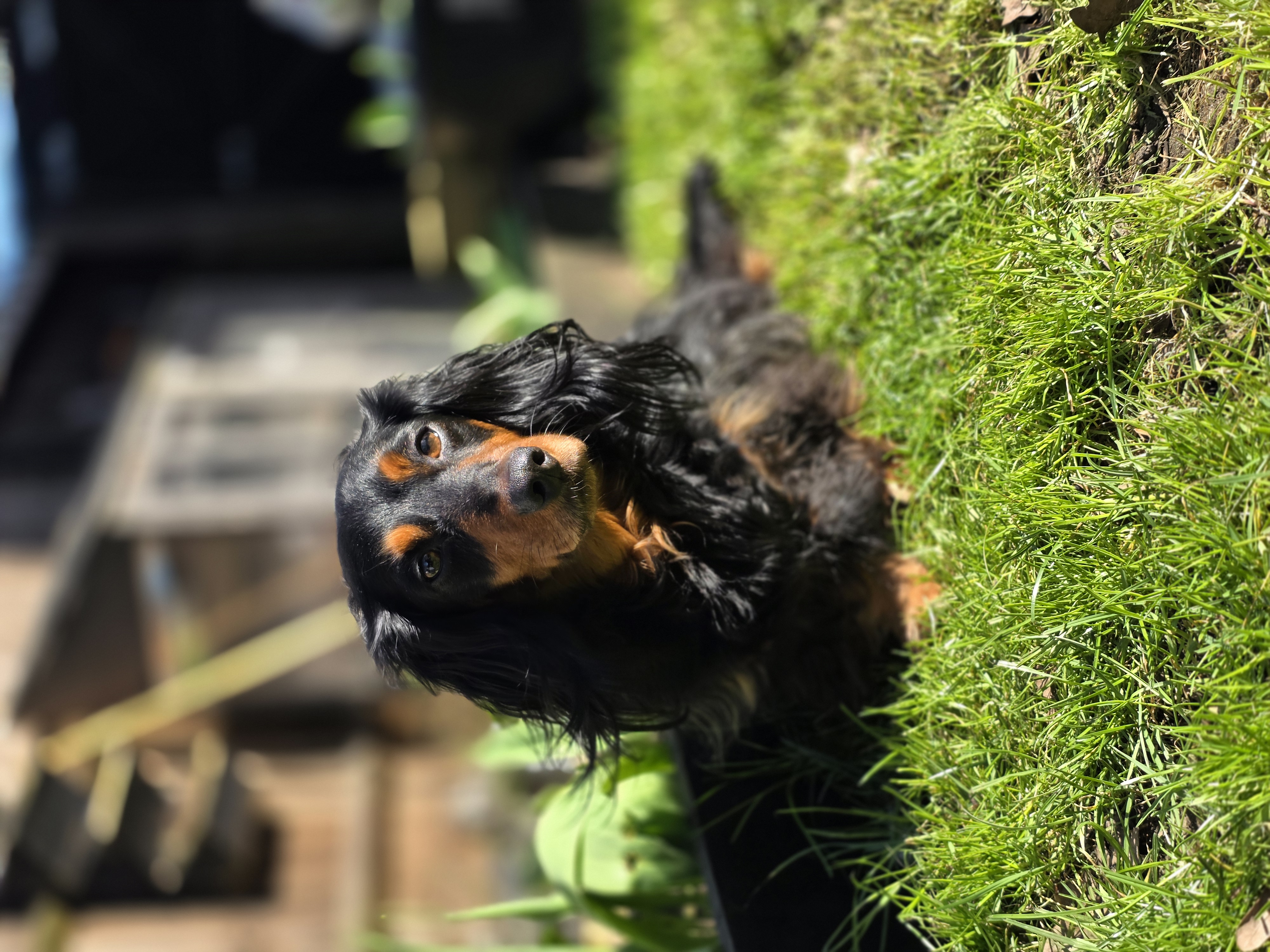 20260302 124924 - Kimberley Thatcher