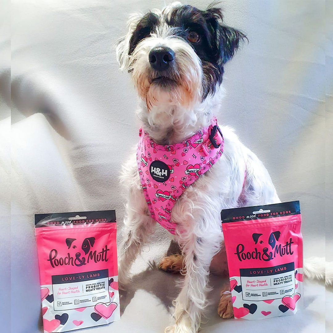 6 reasons to love our Love-ly Lamb Meaty Treats-Image 1