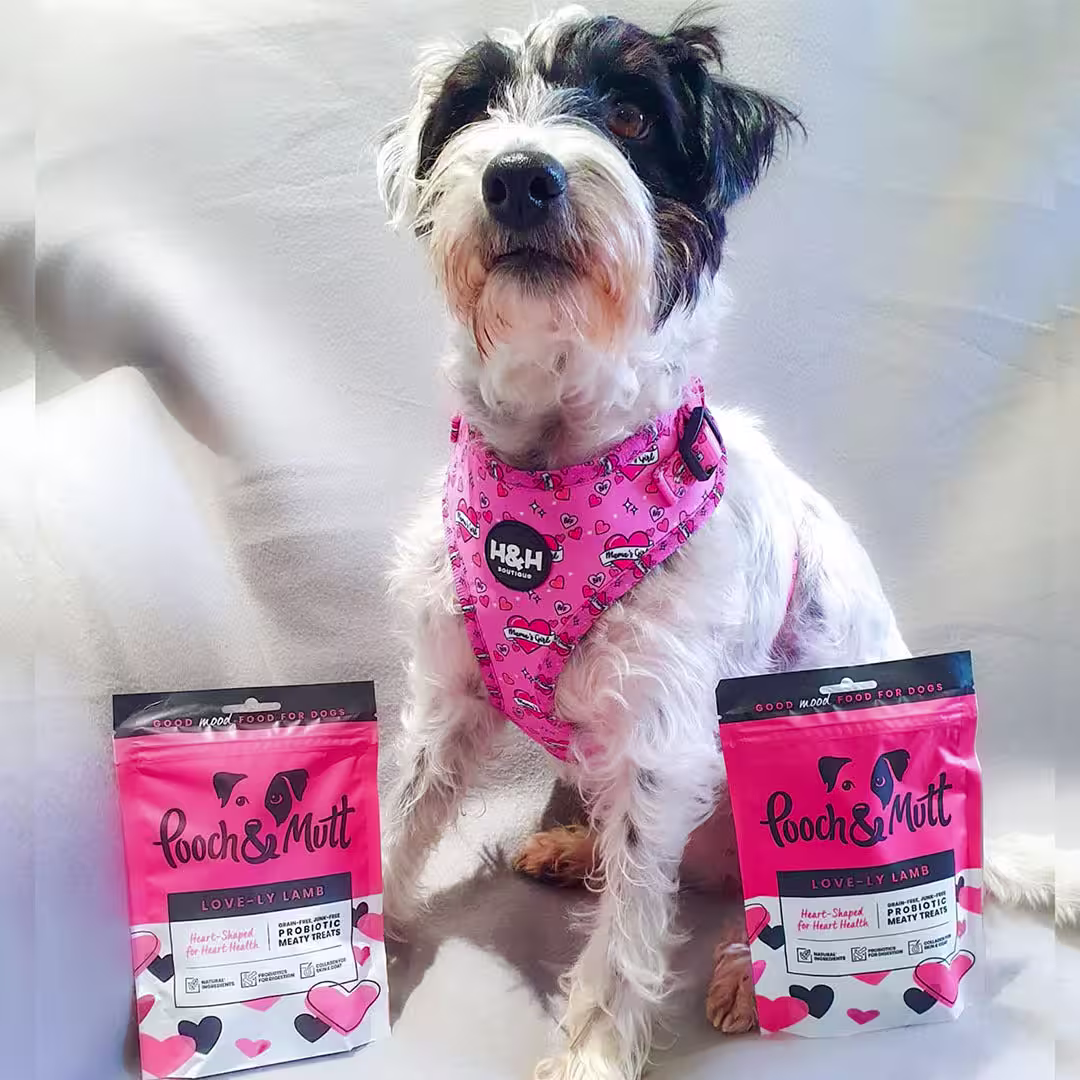 6 reasons to love our Love-ly Lamb Meaty Treats-Image 1